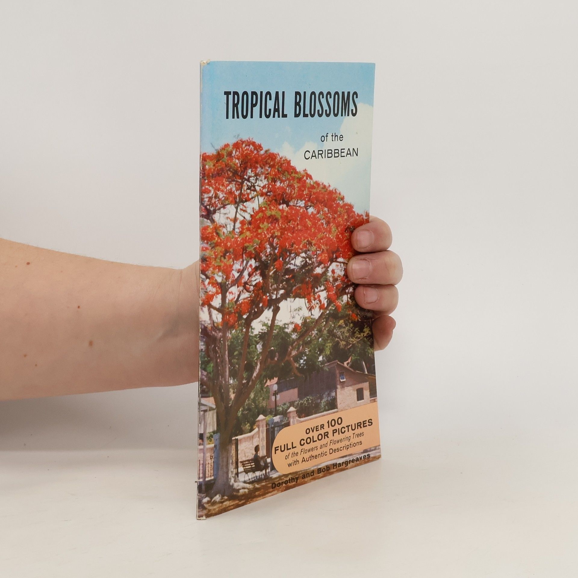 AA.VV. Tropical Blossoms of the Caribbean