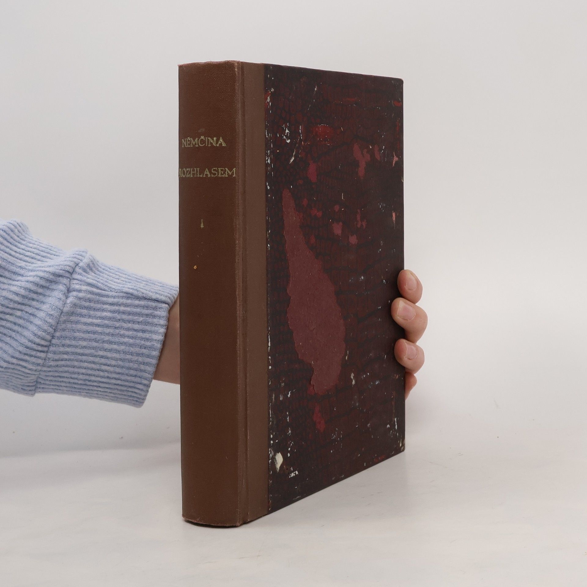 Autorenkollektiv Němčina rozhlasem