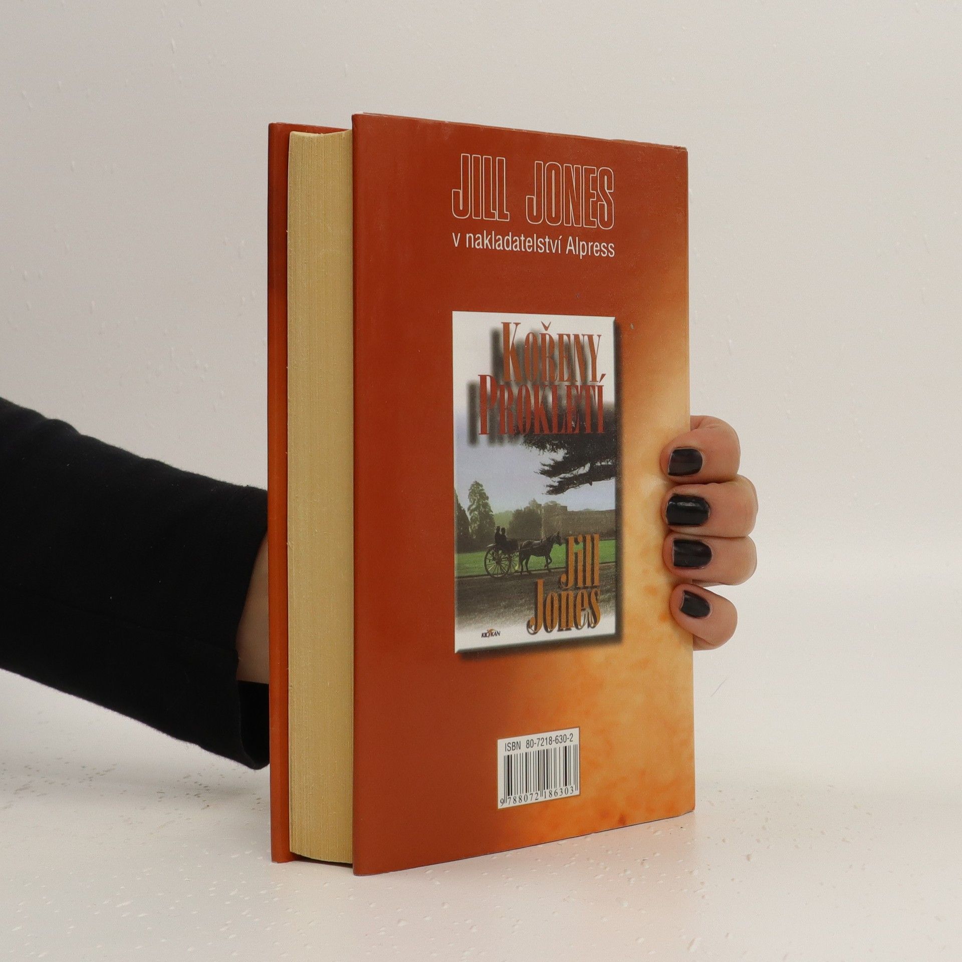 Jill Jones Dračí ukolébavka