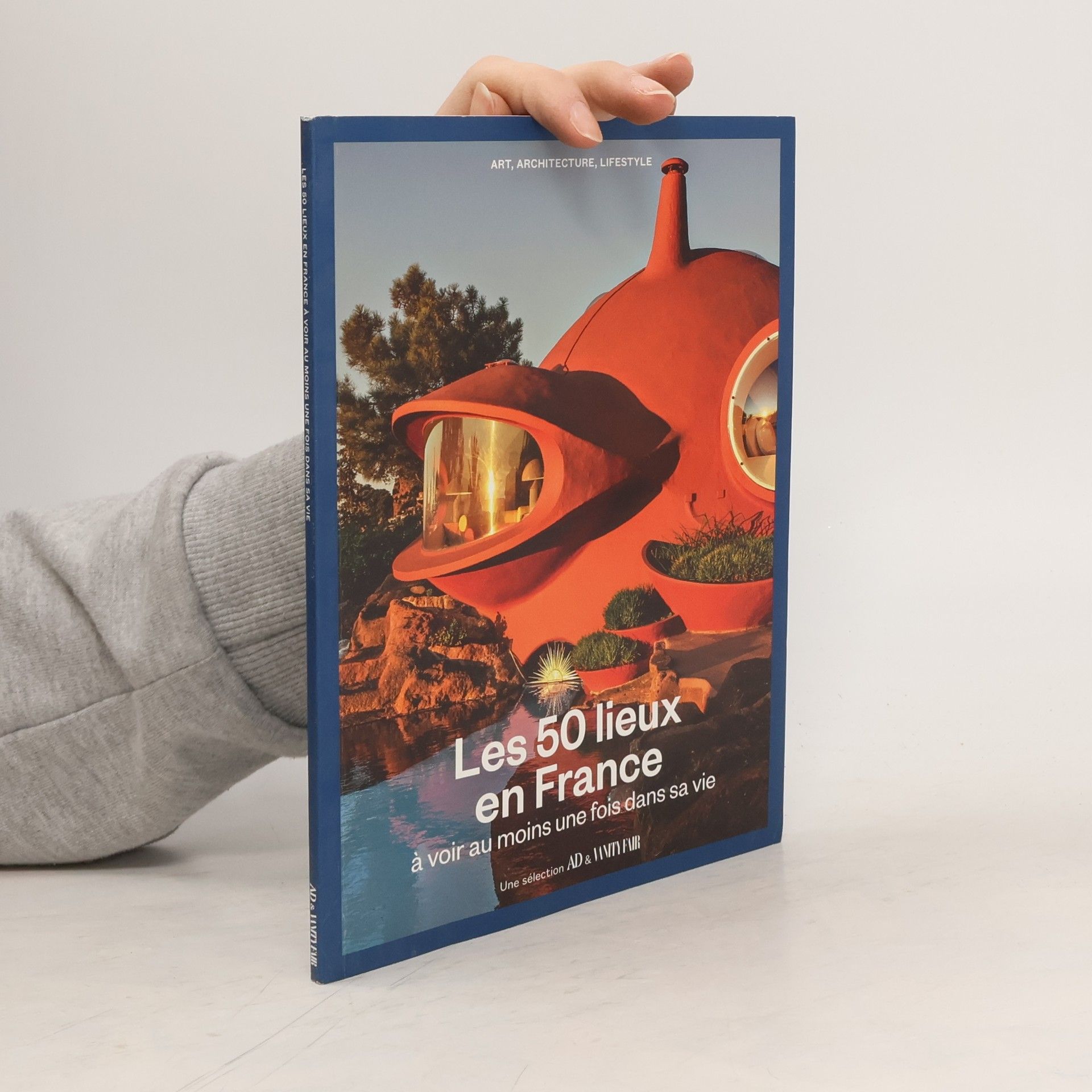 Collectif d'auteurs Les 50 lieux en France