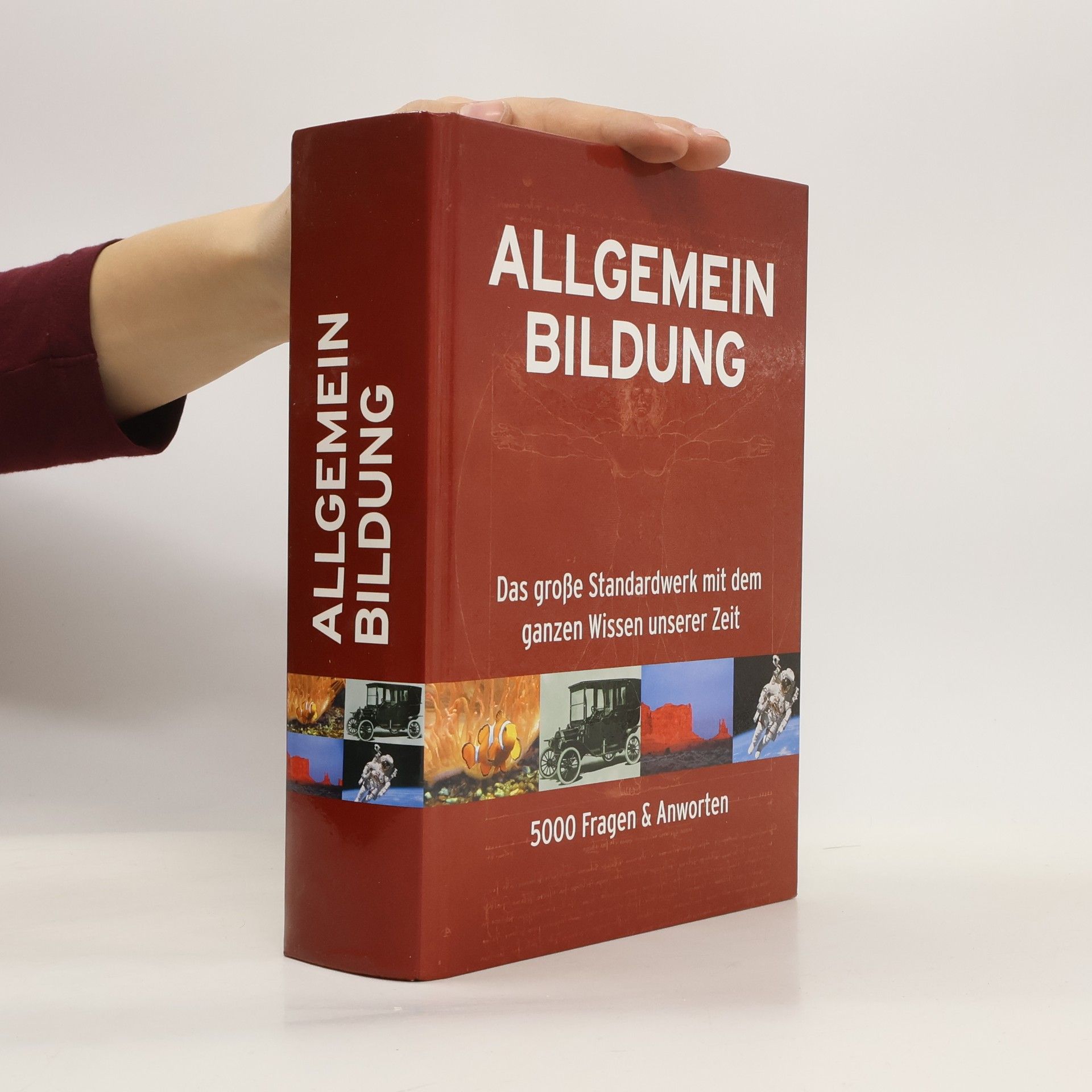 kolektiv Allgemeinbildung