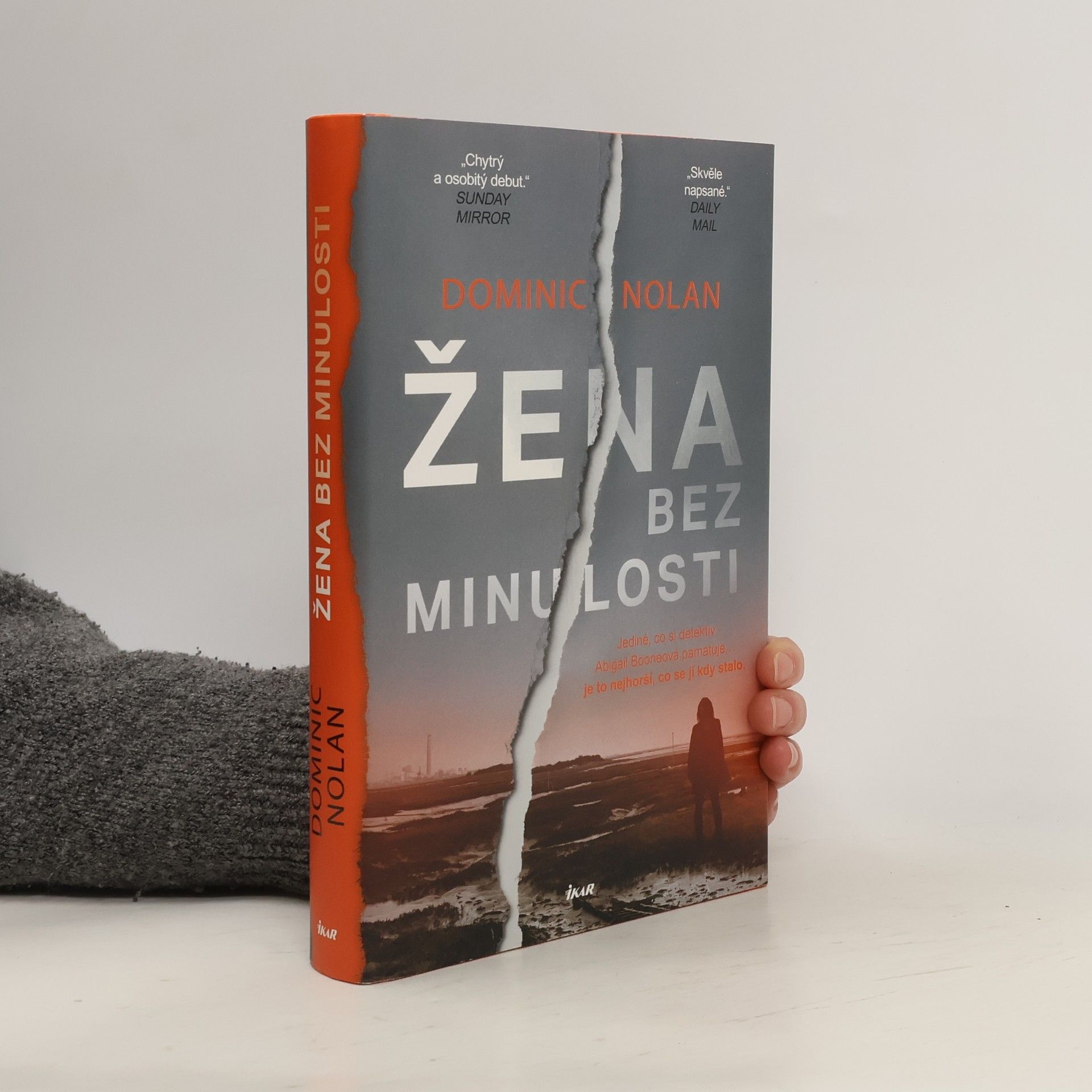 Dominic Nolan Žena bez minulosti
