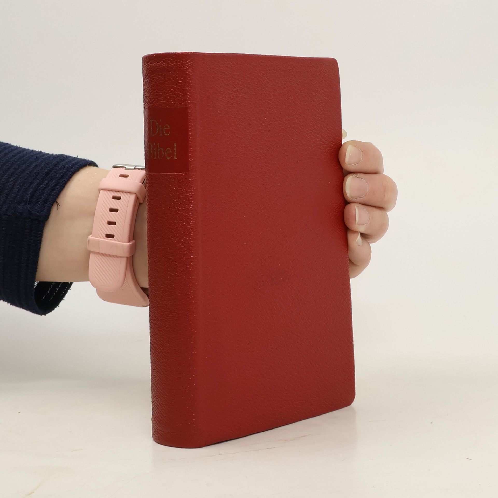 Autorenkollektiv Die Bibel