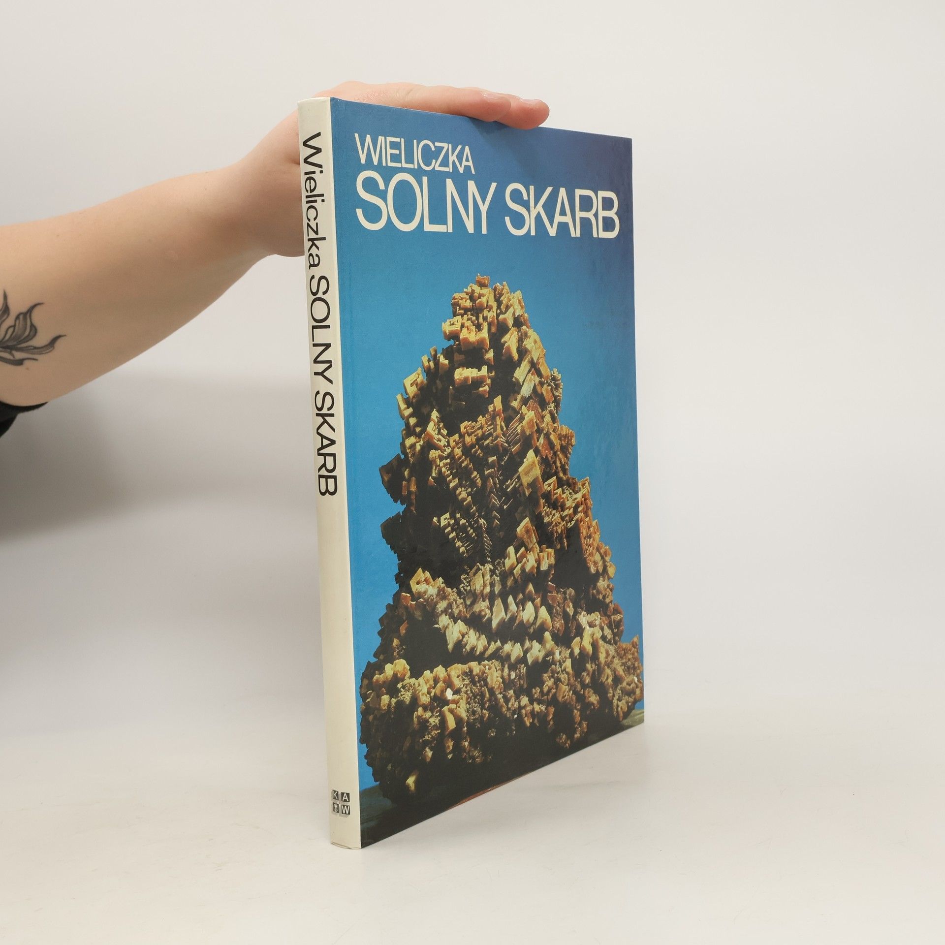 Autorenkollektiv Wieliczka. Solny Skarb