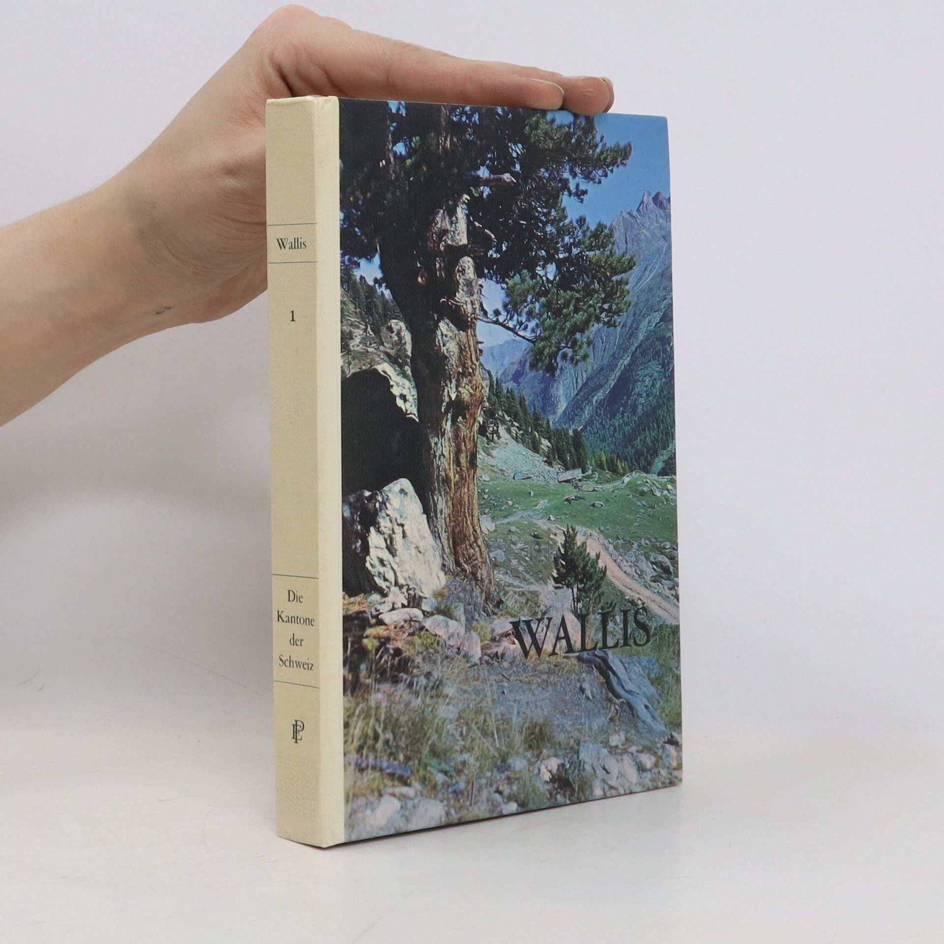 Autorenkollektiv Wallis 1