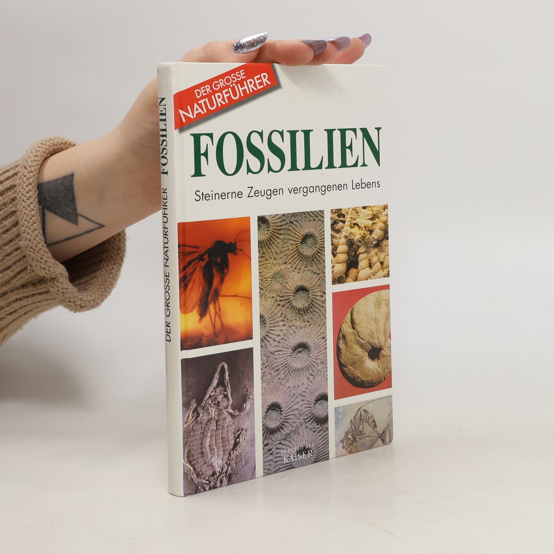 Giorgio Teruzzi Fossilien