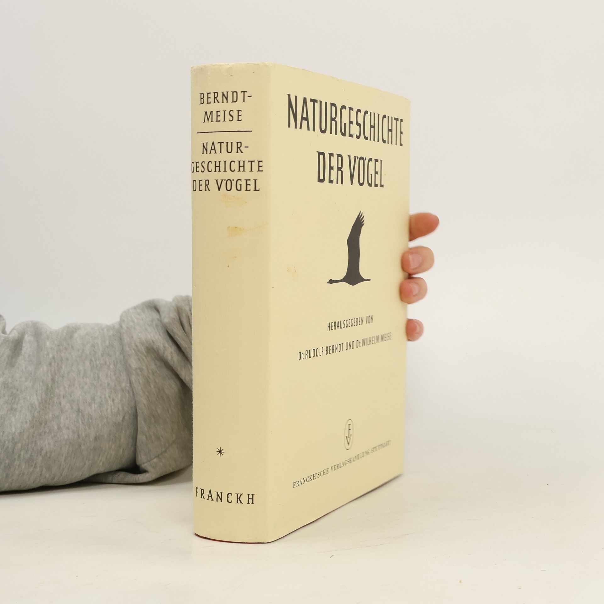 kolektiv Naturgeschichte der Vögel