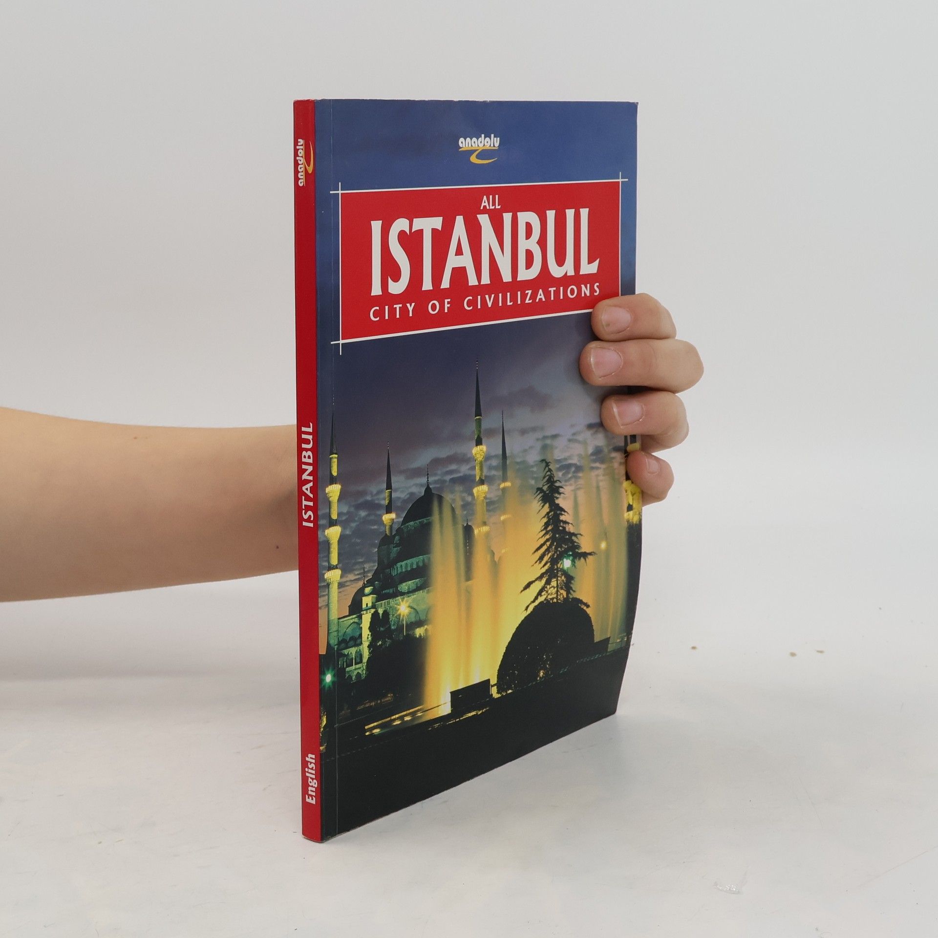 Kolektiv autorů Istanbul