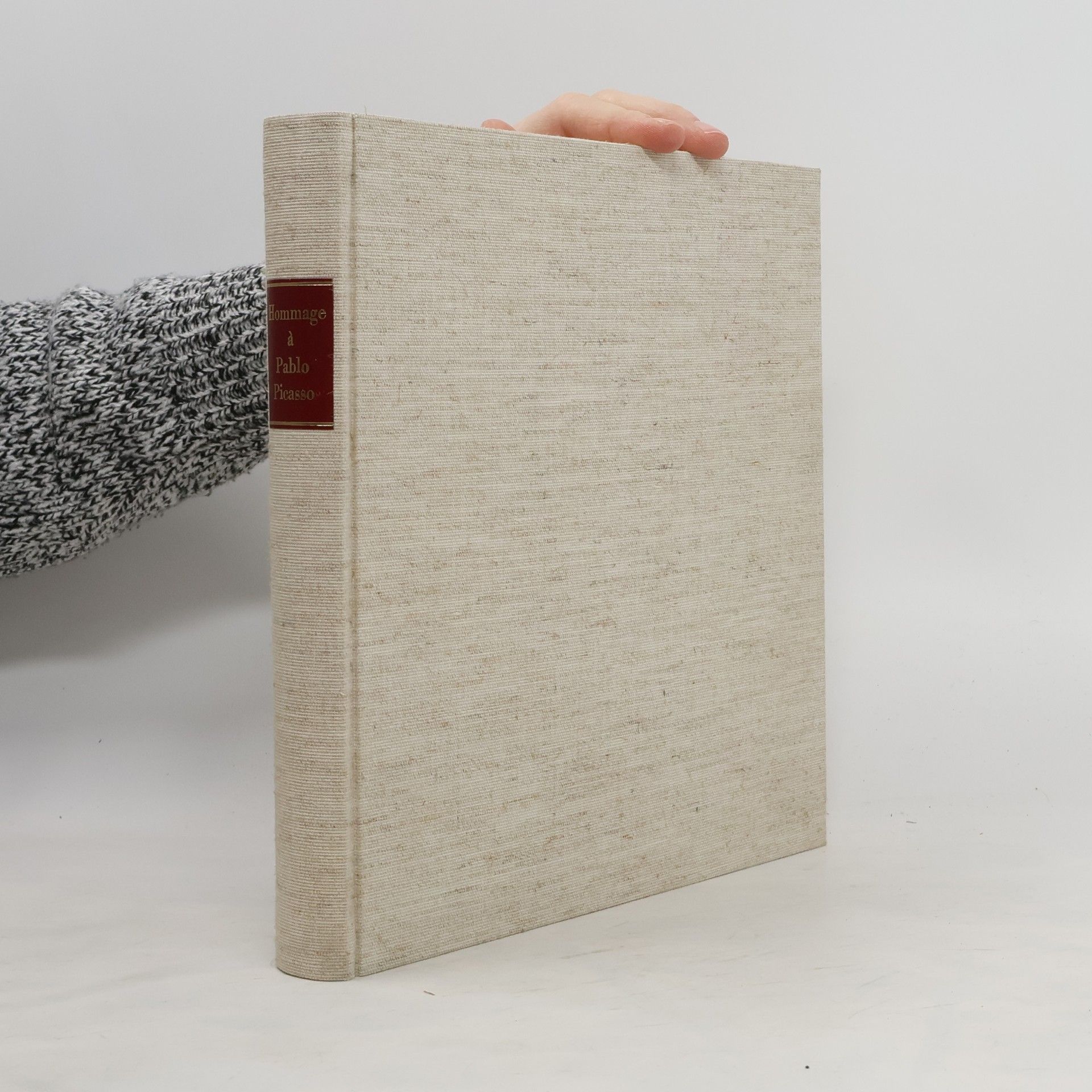 Collectif d'auteurs Hommage à Pablo Picasso