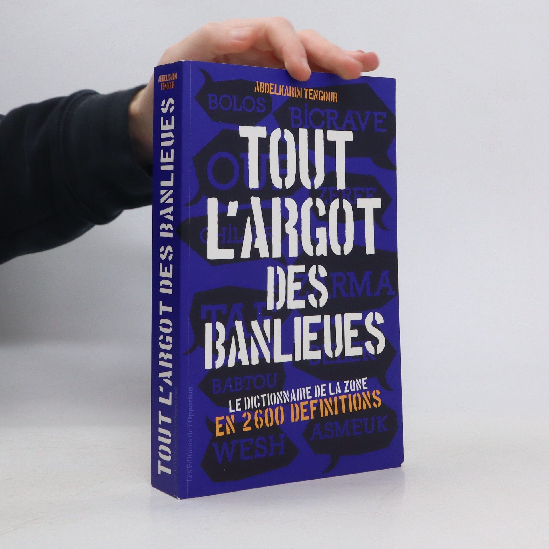 Abdelkarim Tengour Tout l'argot des banlieues