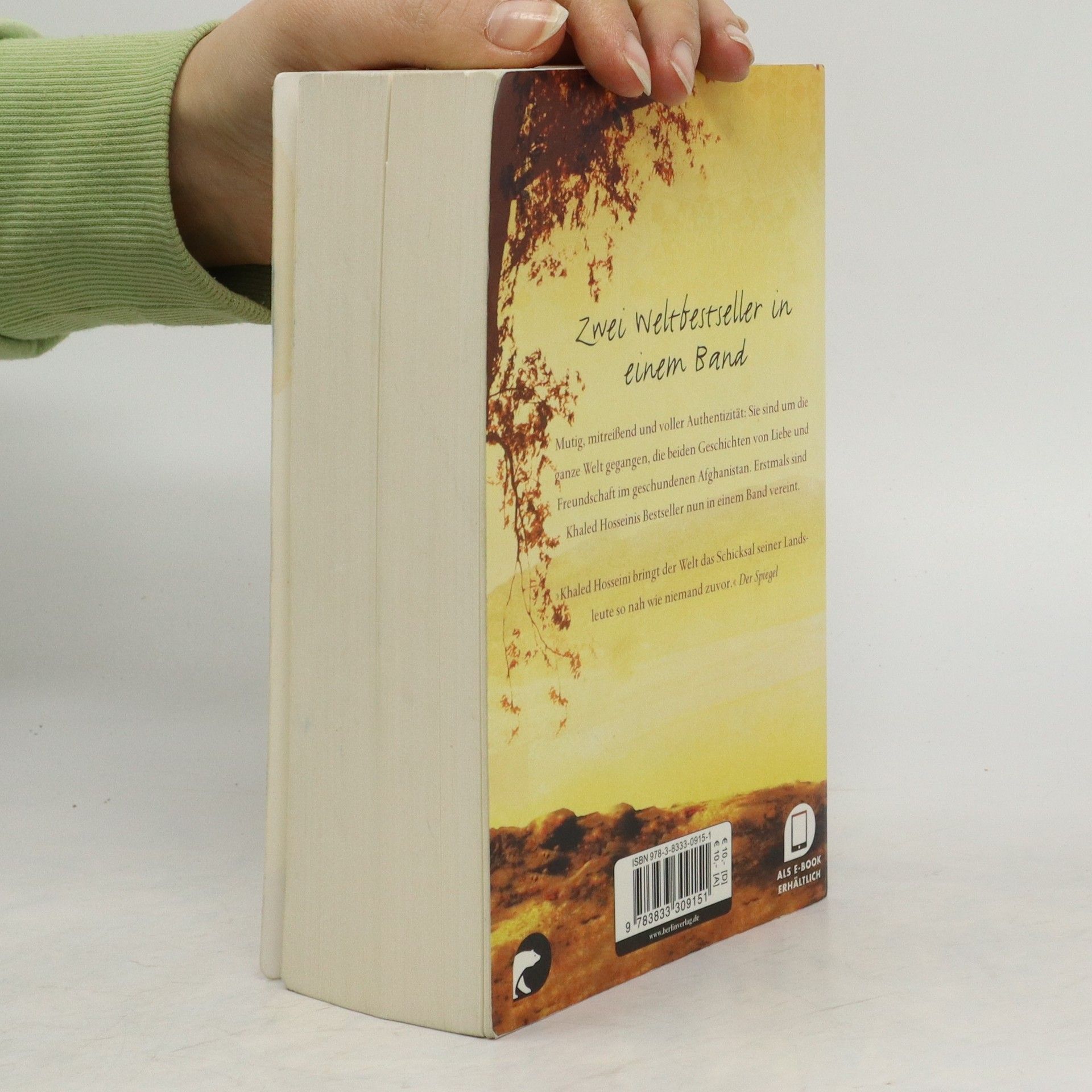 Khaled Hosseini Drachenläufer