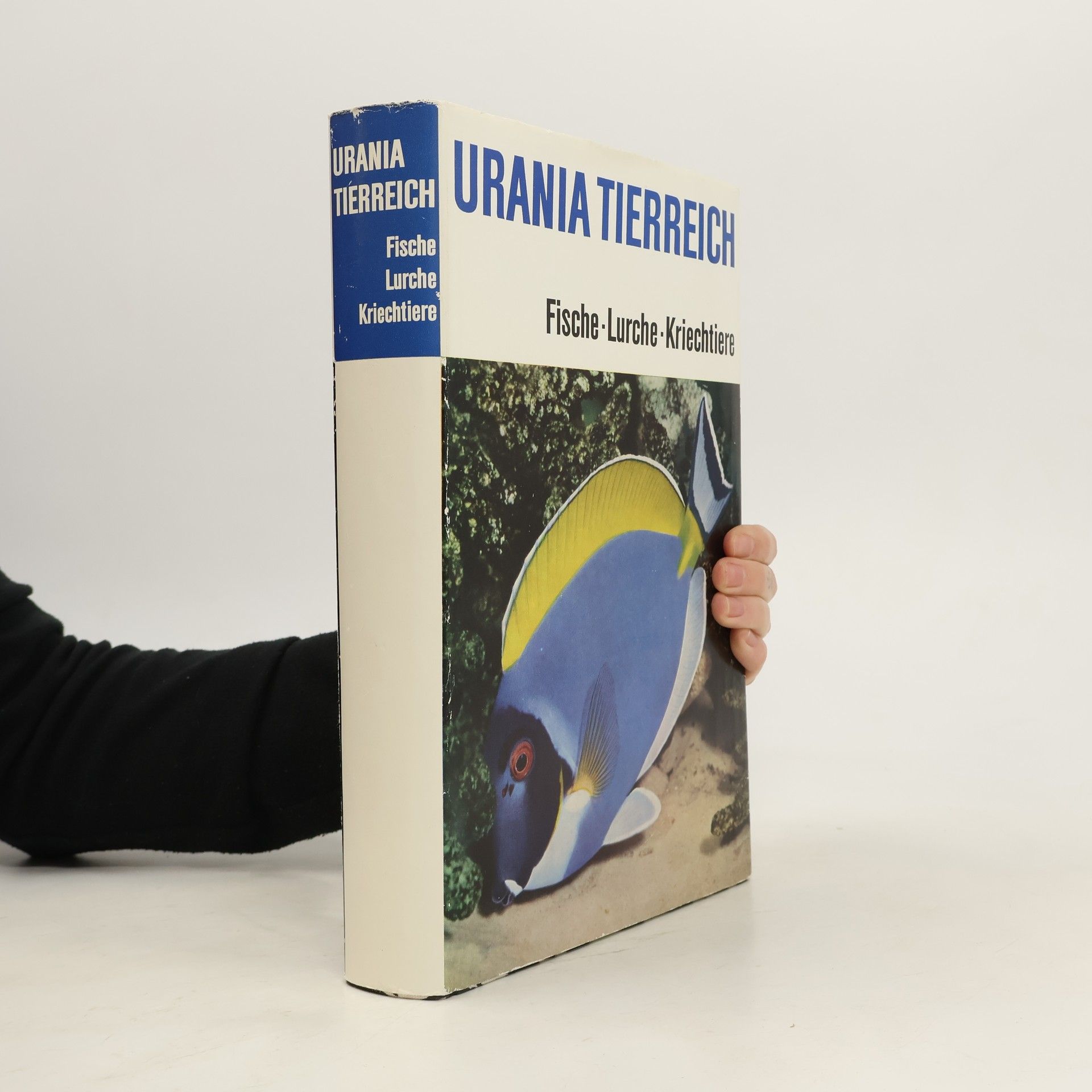 kolektiv Urania Tierreich. Fische, Lurche, Kriechtiere