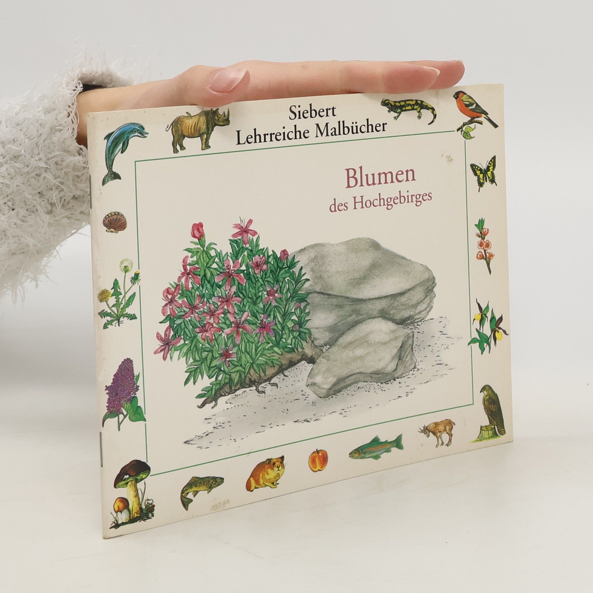 Collectif d'auteurs Blumen des Hochgebirges