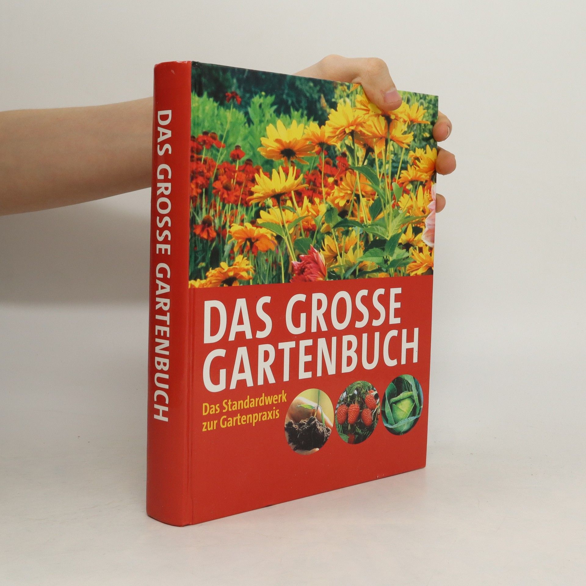 Collectif d'auteurs Das grosse Gartenbuch