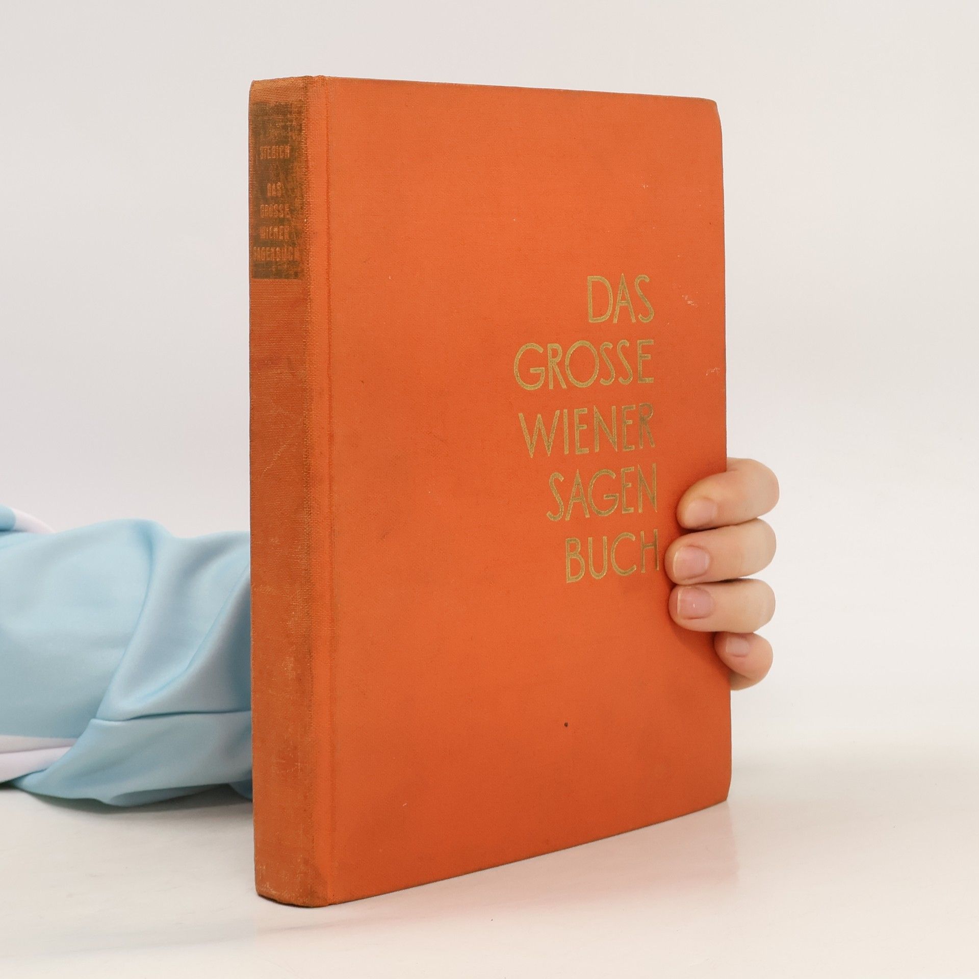 Max Stebich Das grosse wiener Sagenbuch