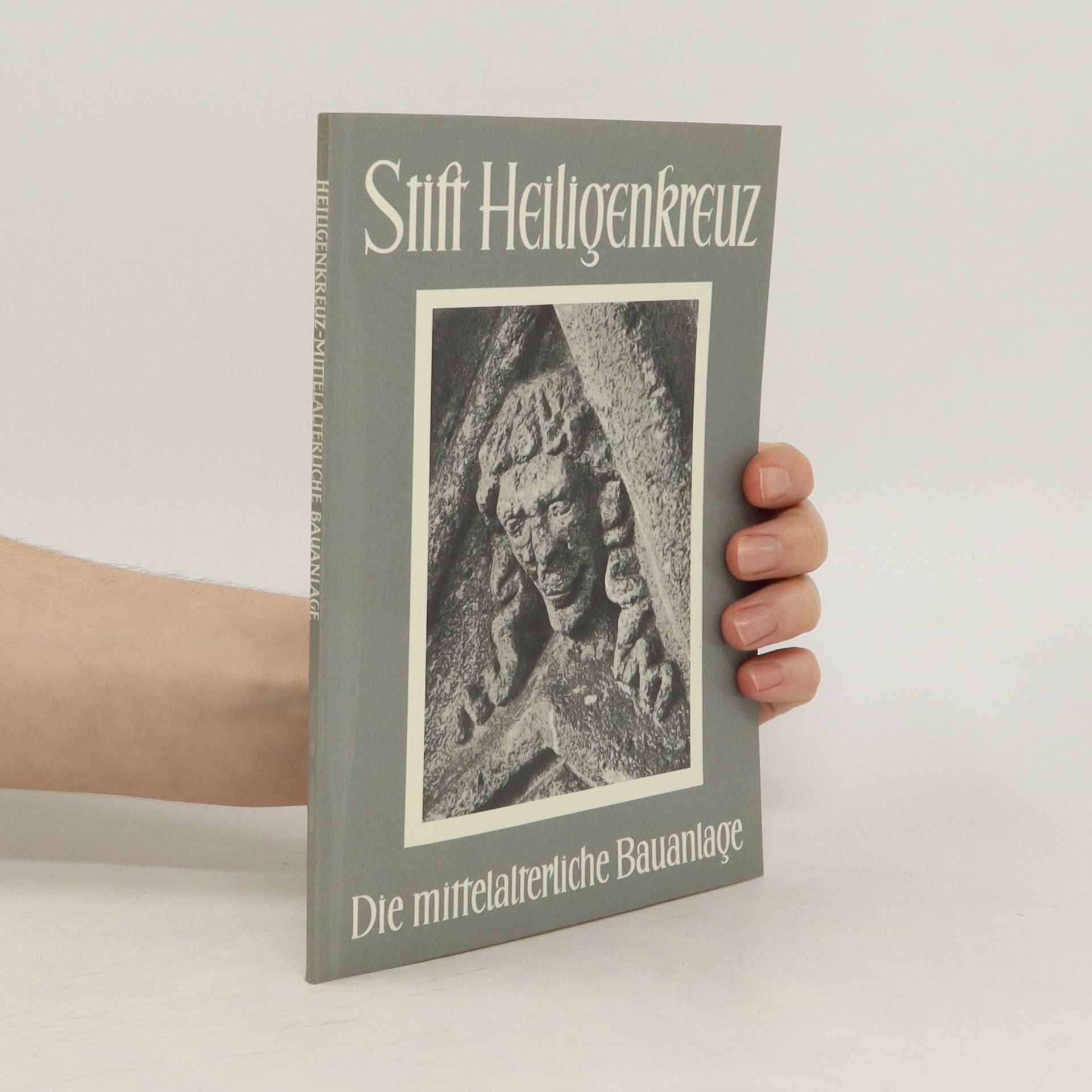 Auteurscollectief Stift Heiligenkreuz. Die mittelalterliche Bauanlage