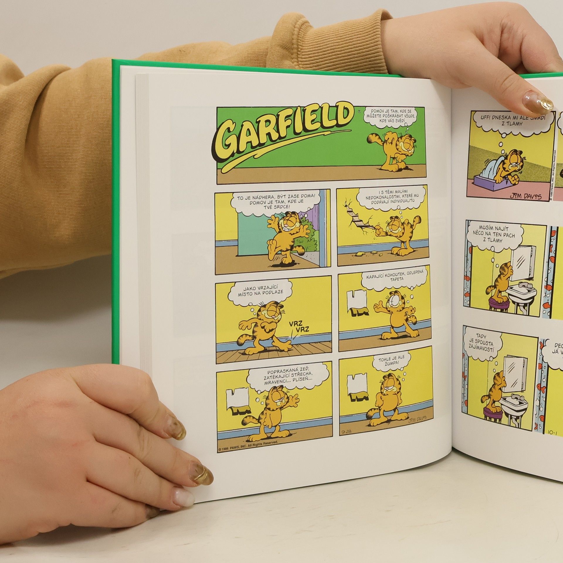 Jim Davis Garfield si dává nášup