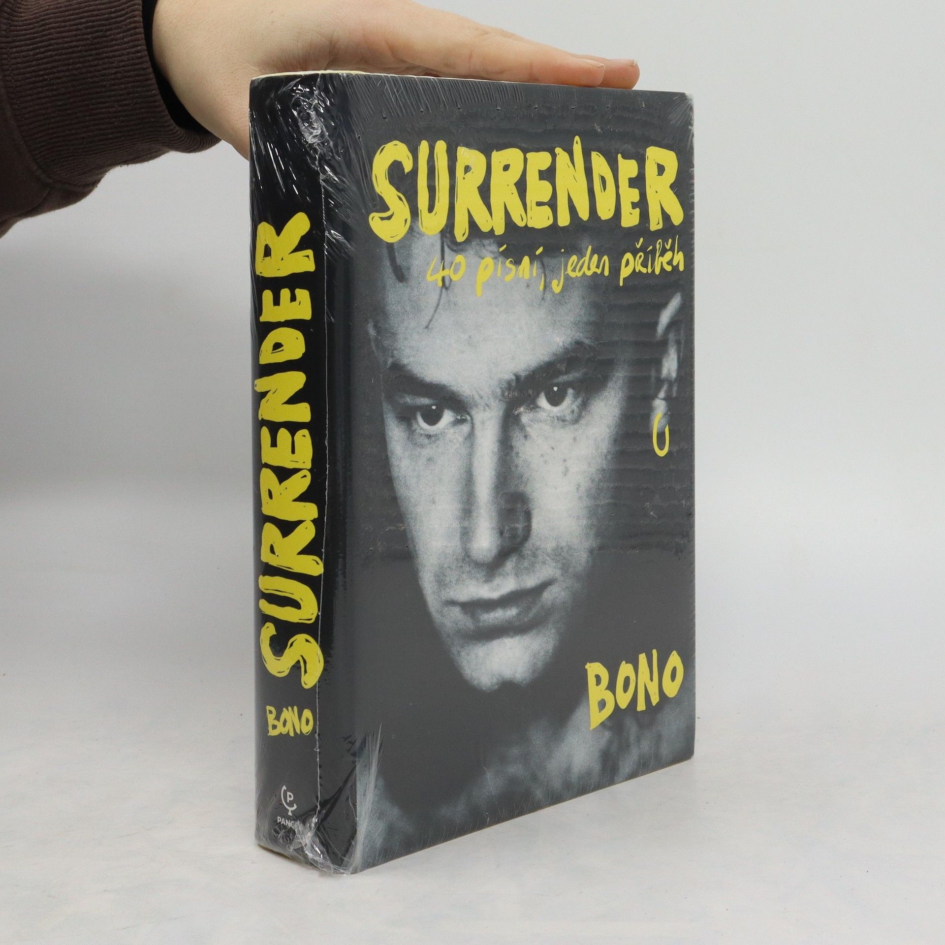 Surrender : 40 písní, jeden příběh