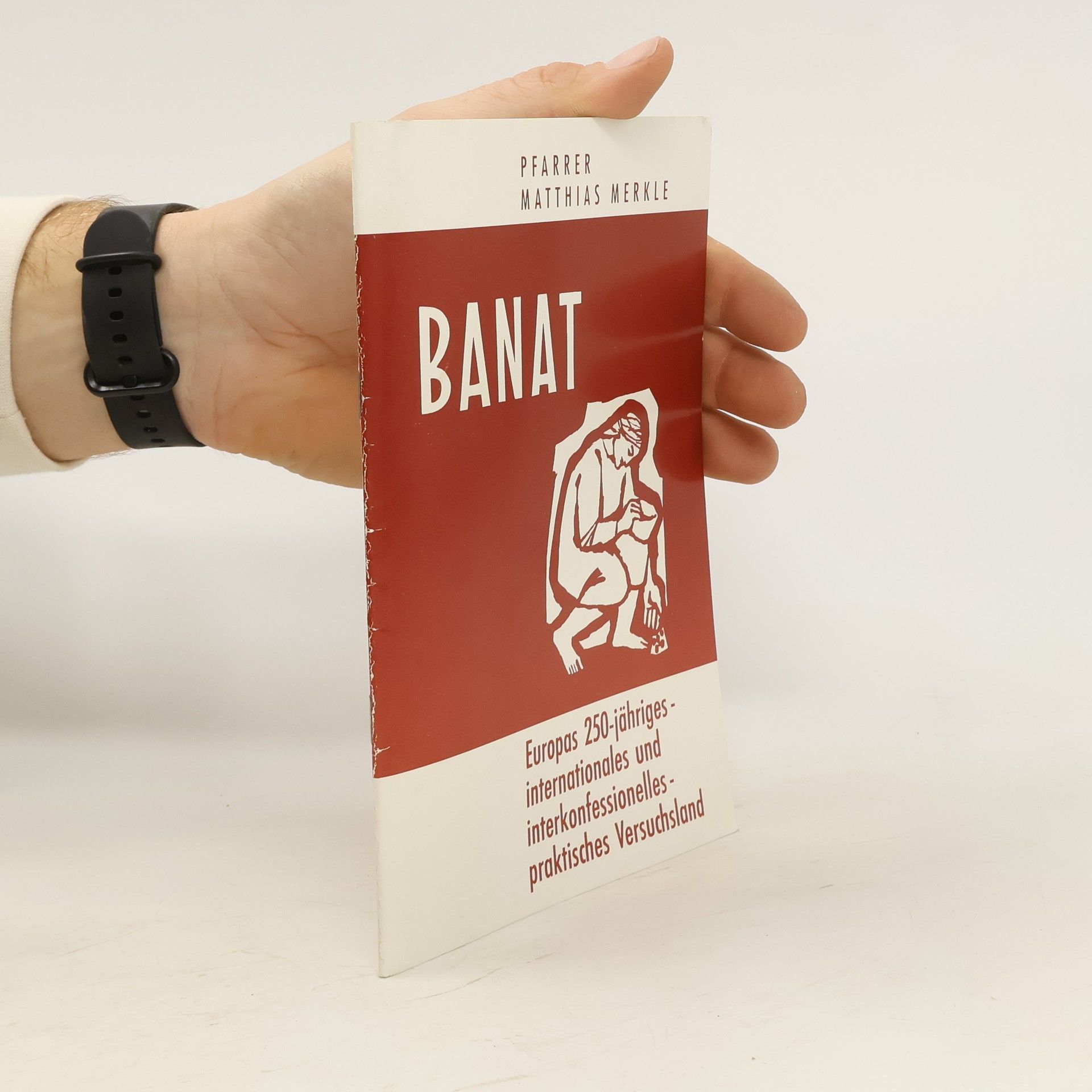 Pfarrer Matthias Merkle Banat