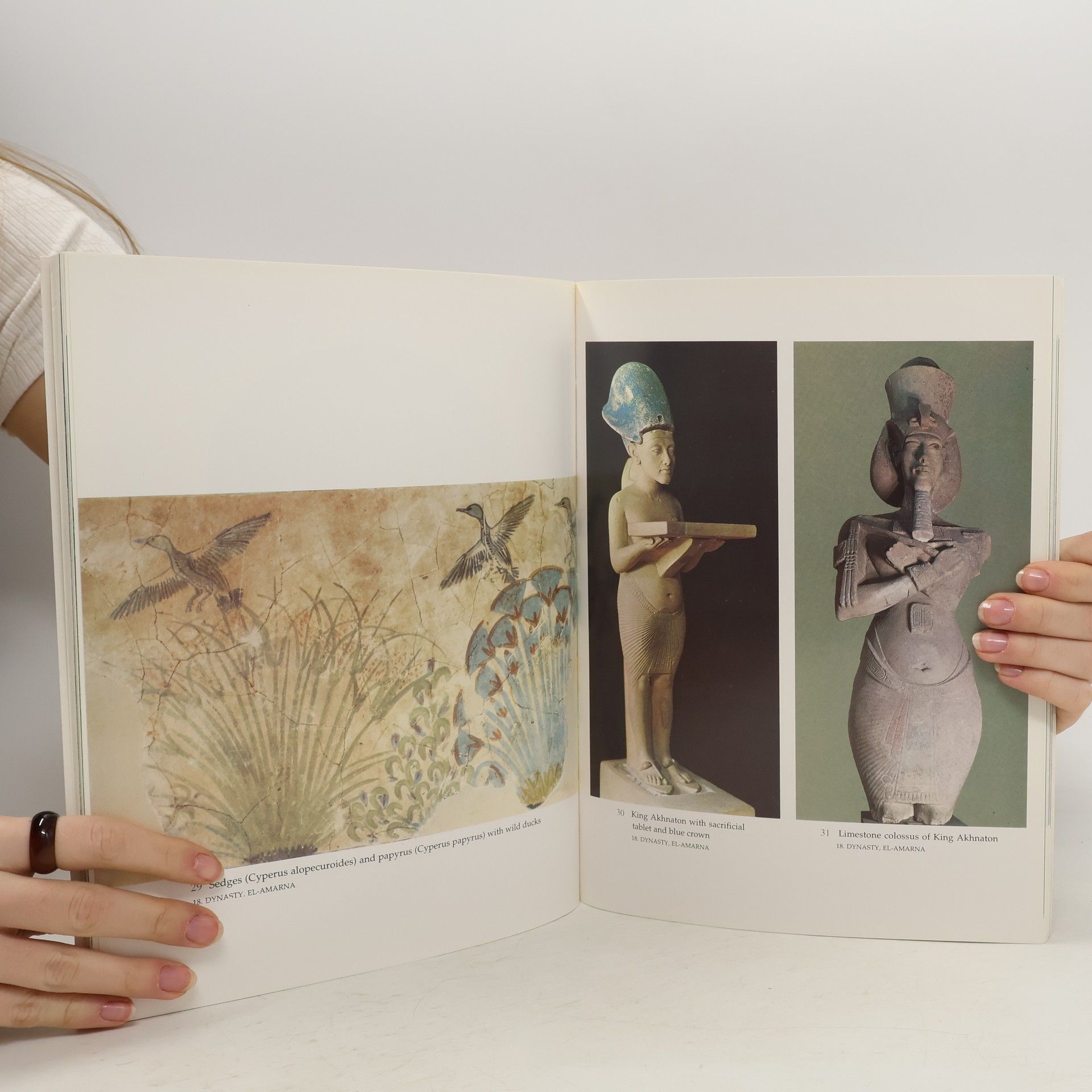 Collectif d'auteurs Egyptian Museum Cairo