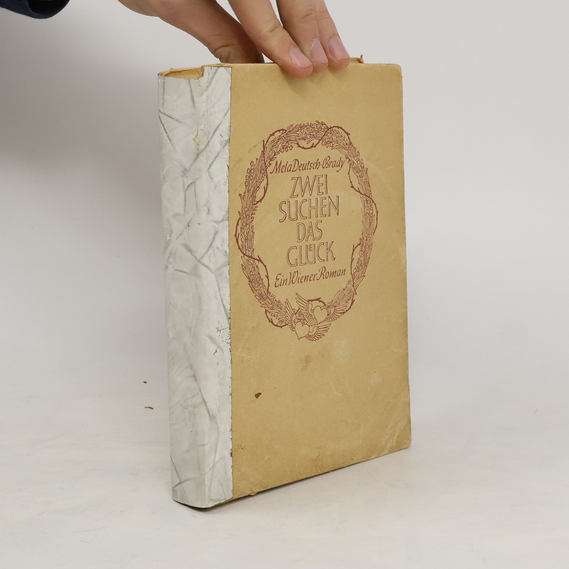 Mela Deutsch-Brady Zwei suchen das Glück. Ein Wiener Roman