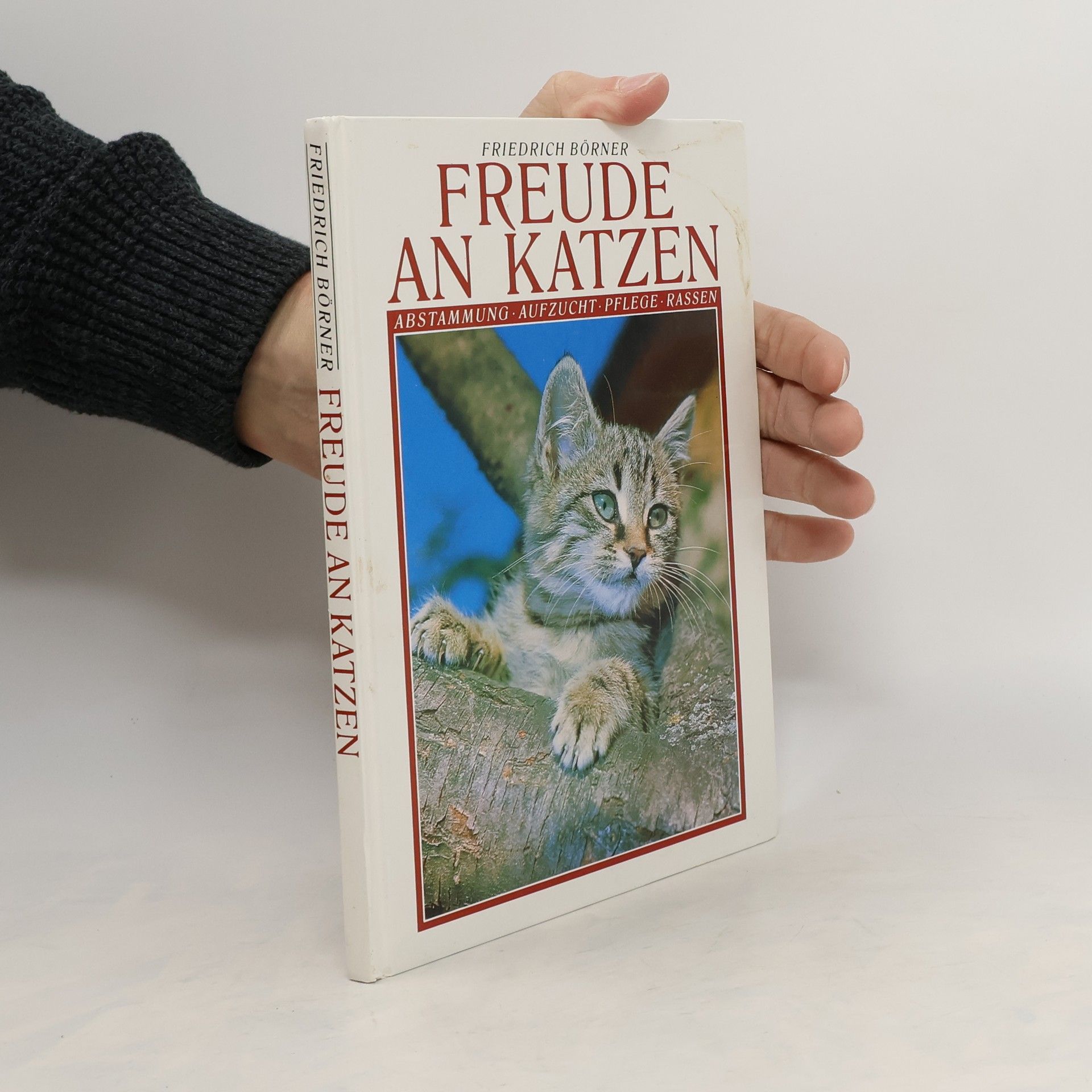 Friedrich Börner Freude an Katzen
