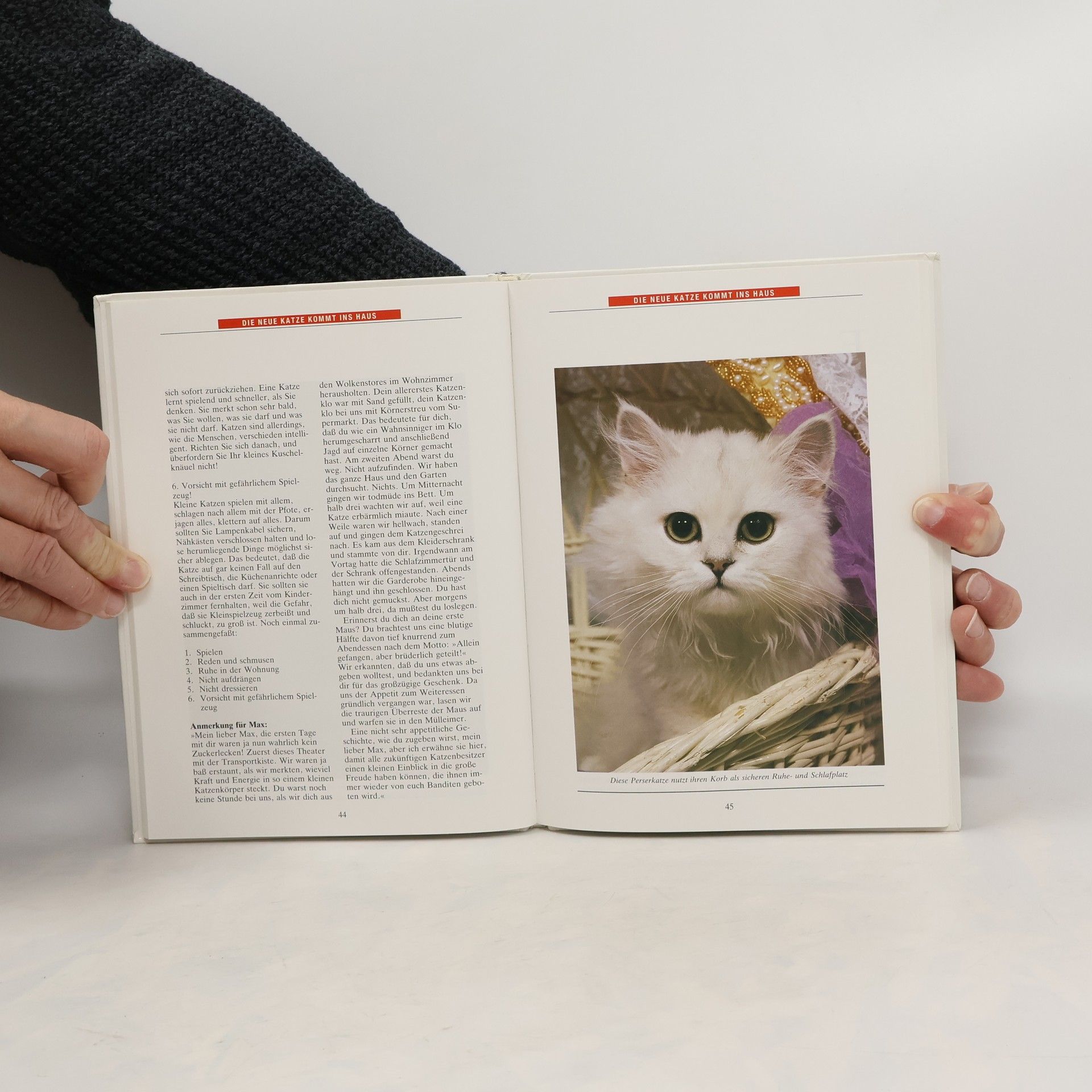 Friedrich Börner Freude an Katzen