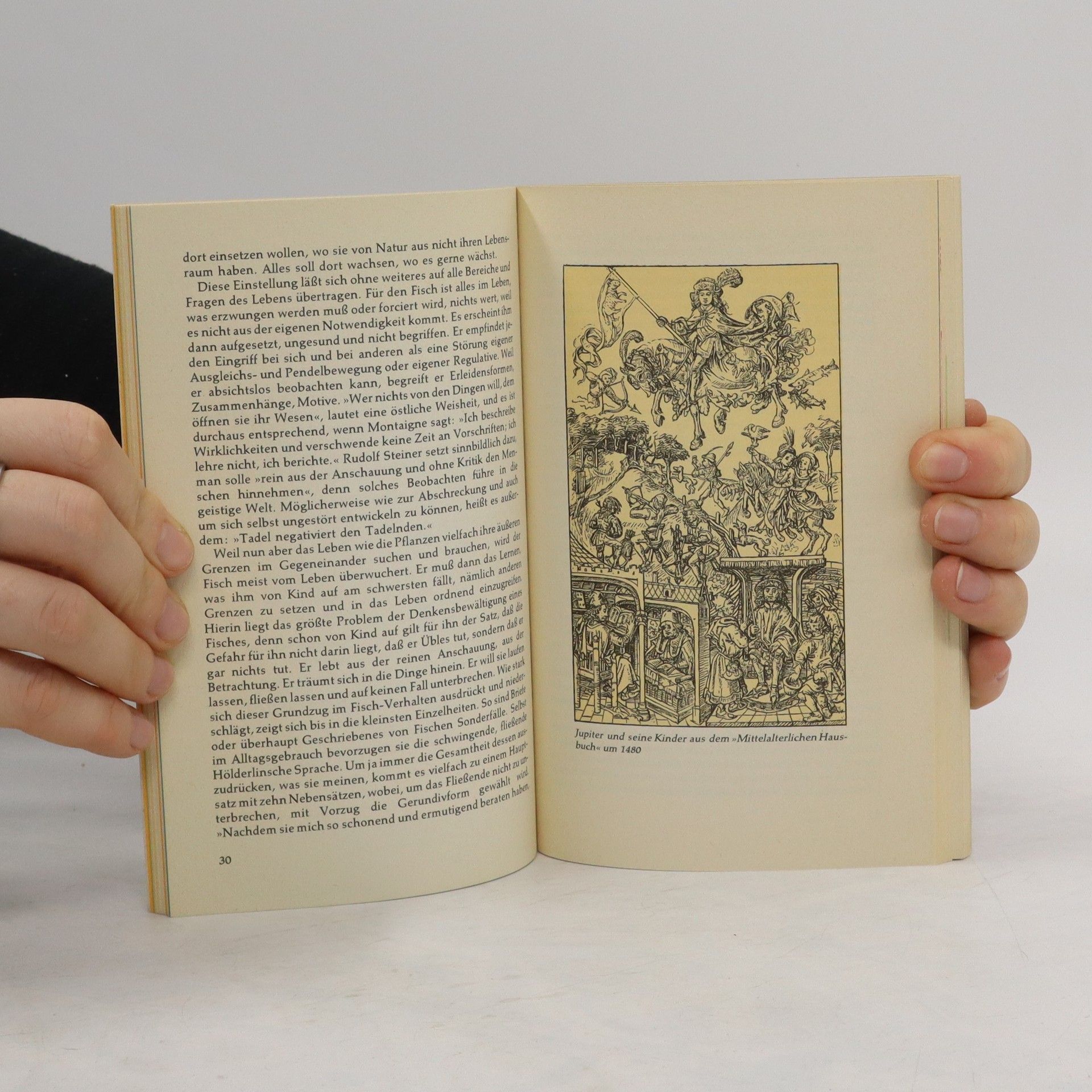 Wolfgang Döbereiner Heyne-Tierkreis-Bücher
