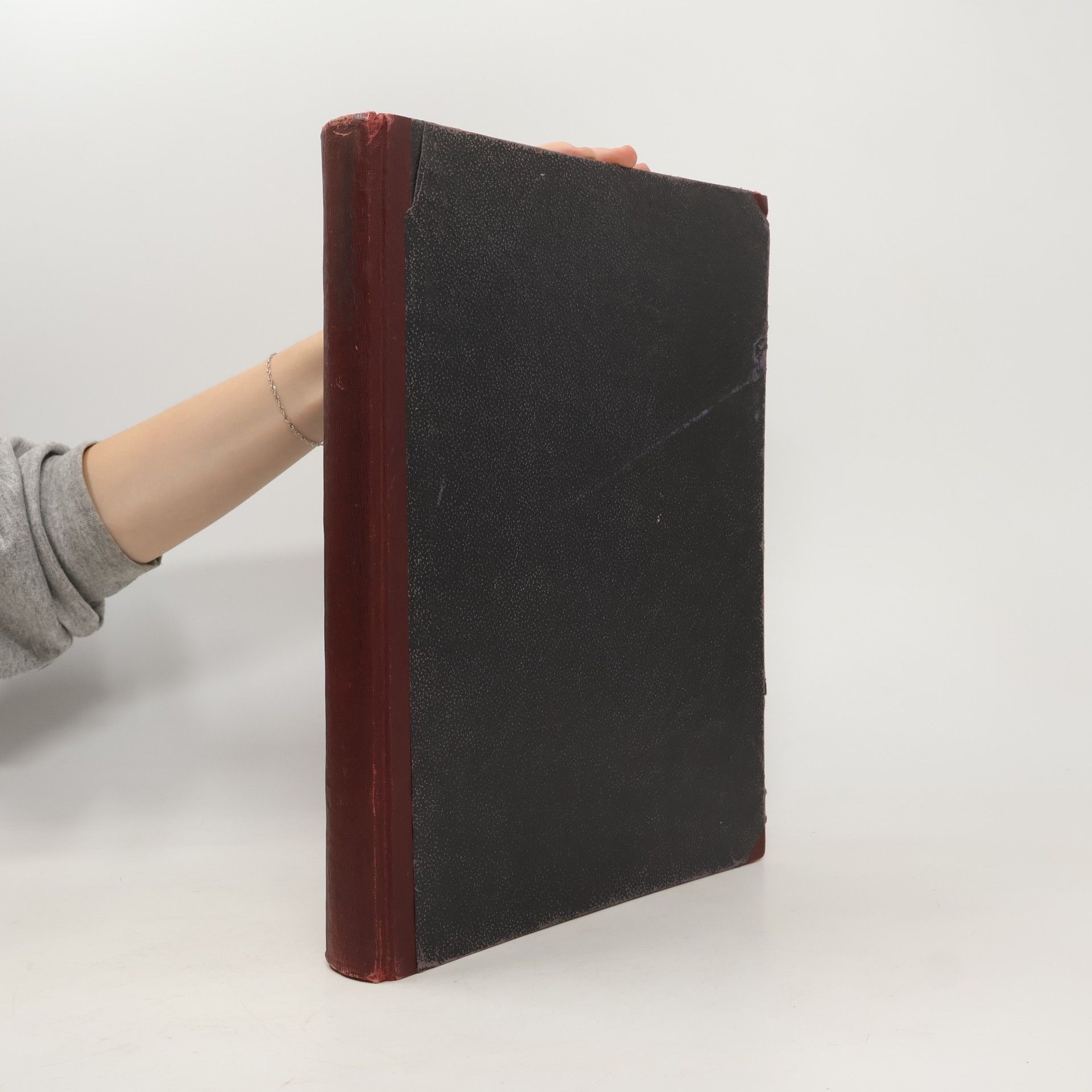 Autorenkollektiv Das Album. Bilder aus dem Leben.