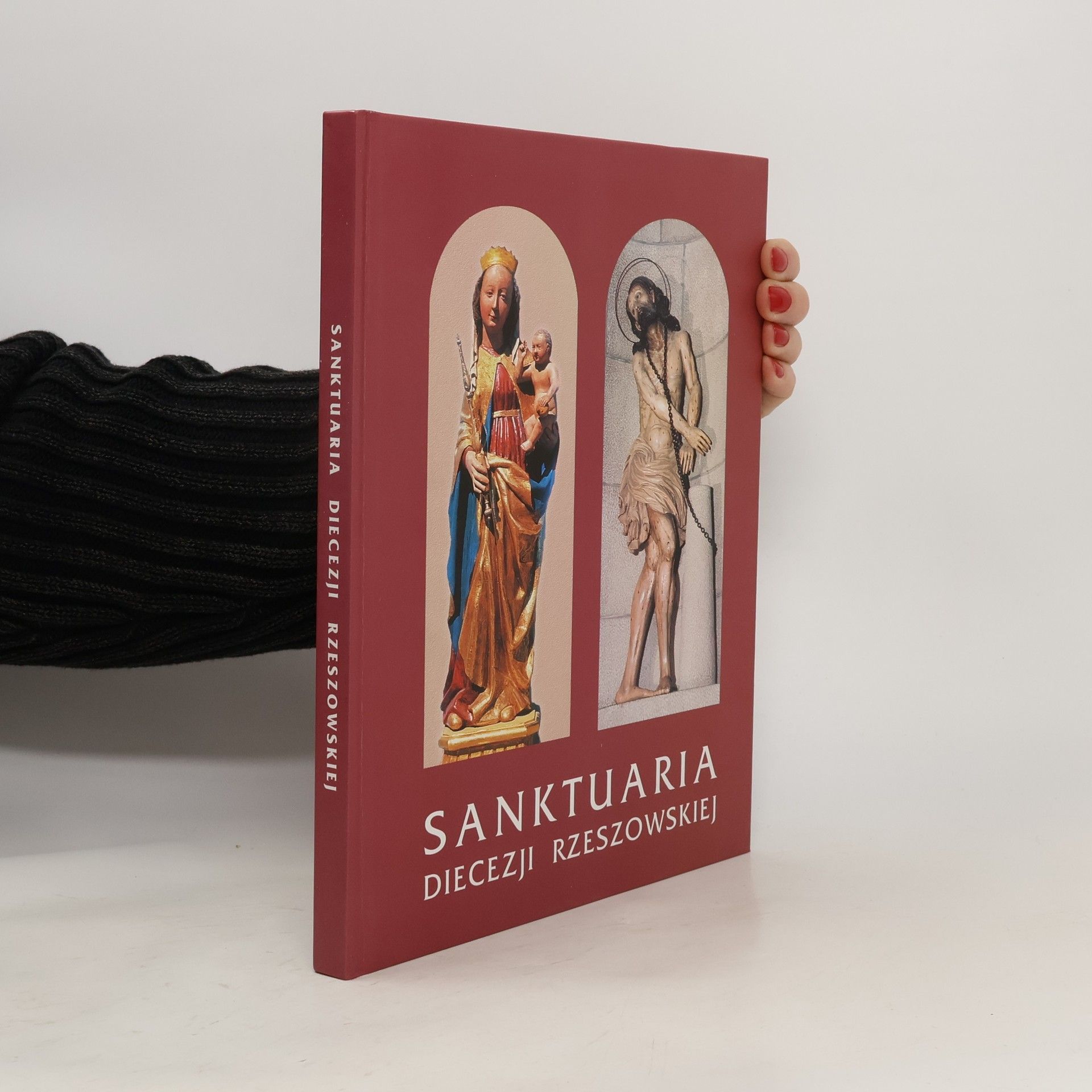 Autorenkollektiv Sanktuaria Diecezji rzeszowskiej