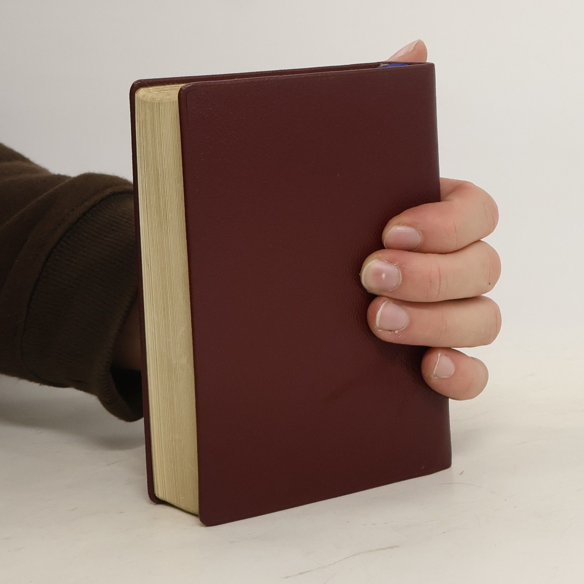 Collectif d'auteurs Gotteslob