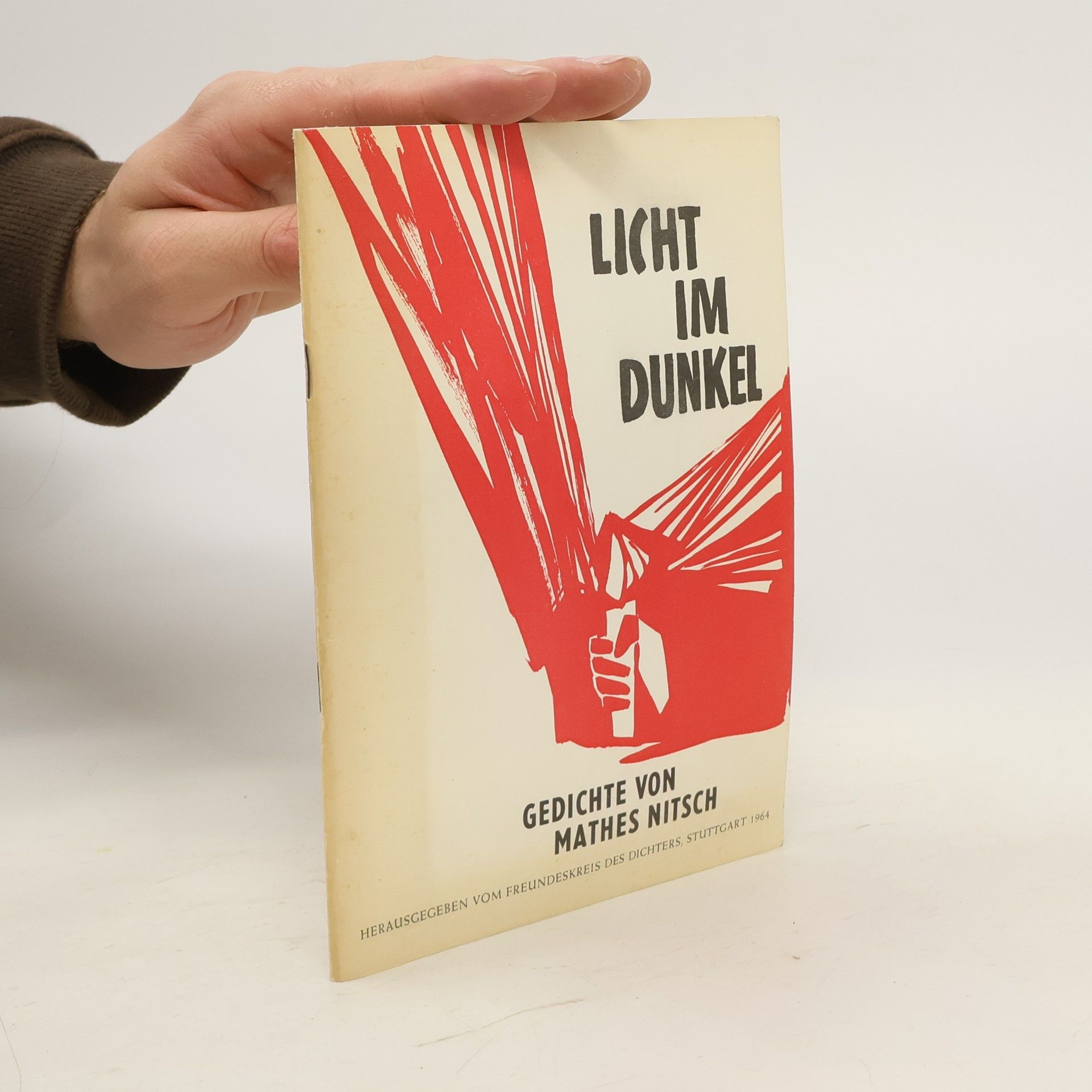 Mathes Nitsch Licht in Dunkel