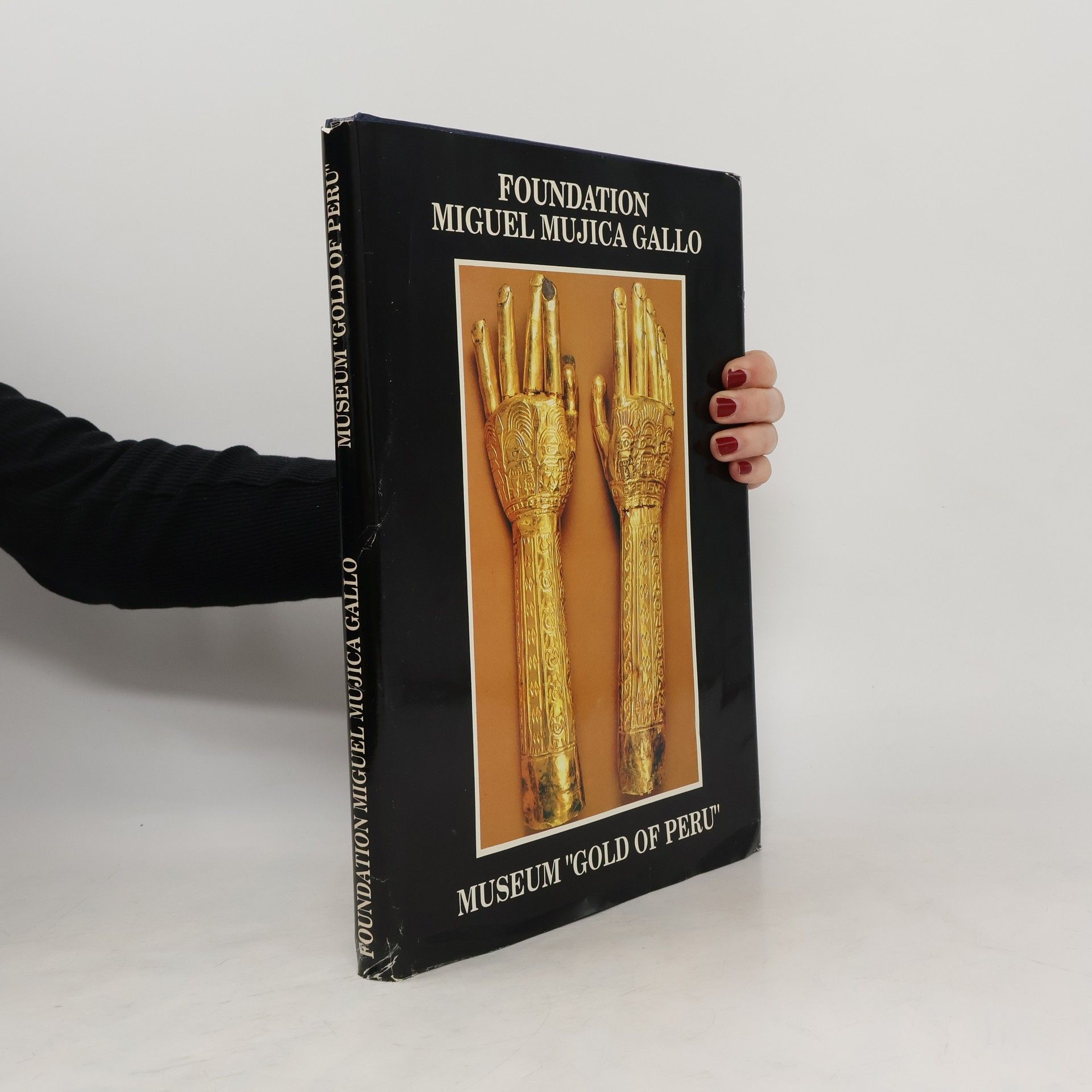 Collectif d'auteurs Foundation Miguel Mujica Gallo