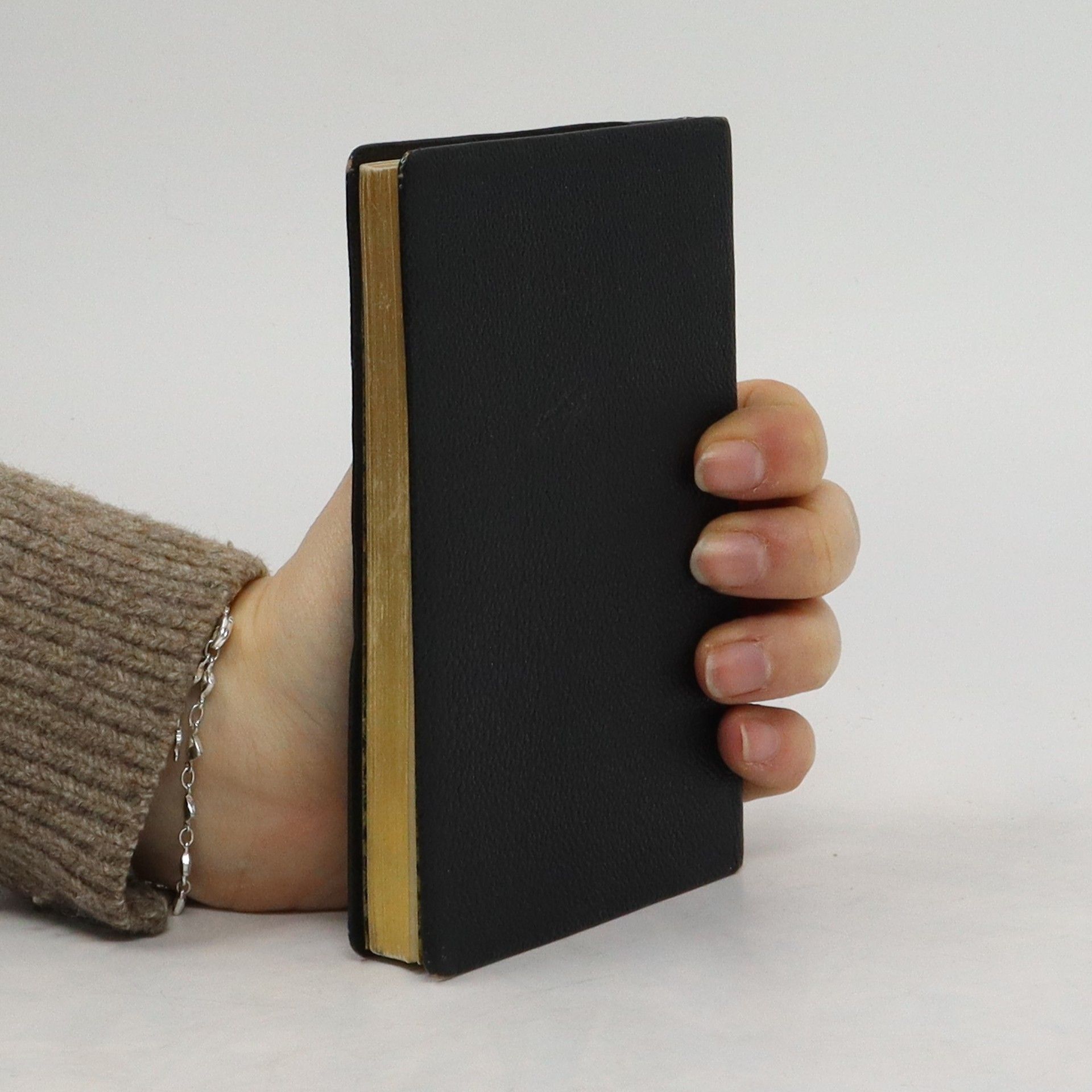 Autorenkollektiv Neuapostolisches Gesangbuch