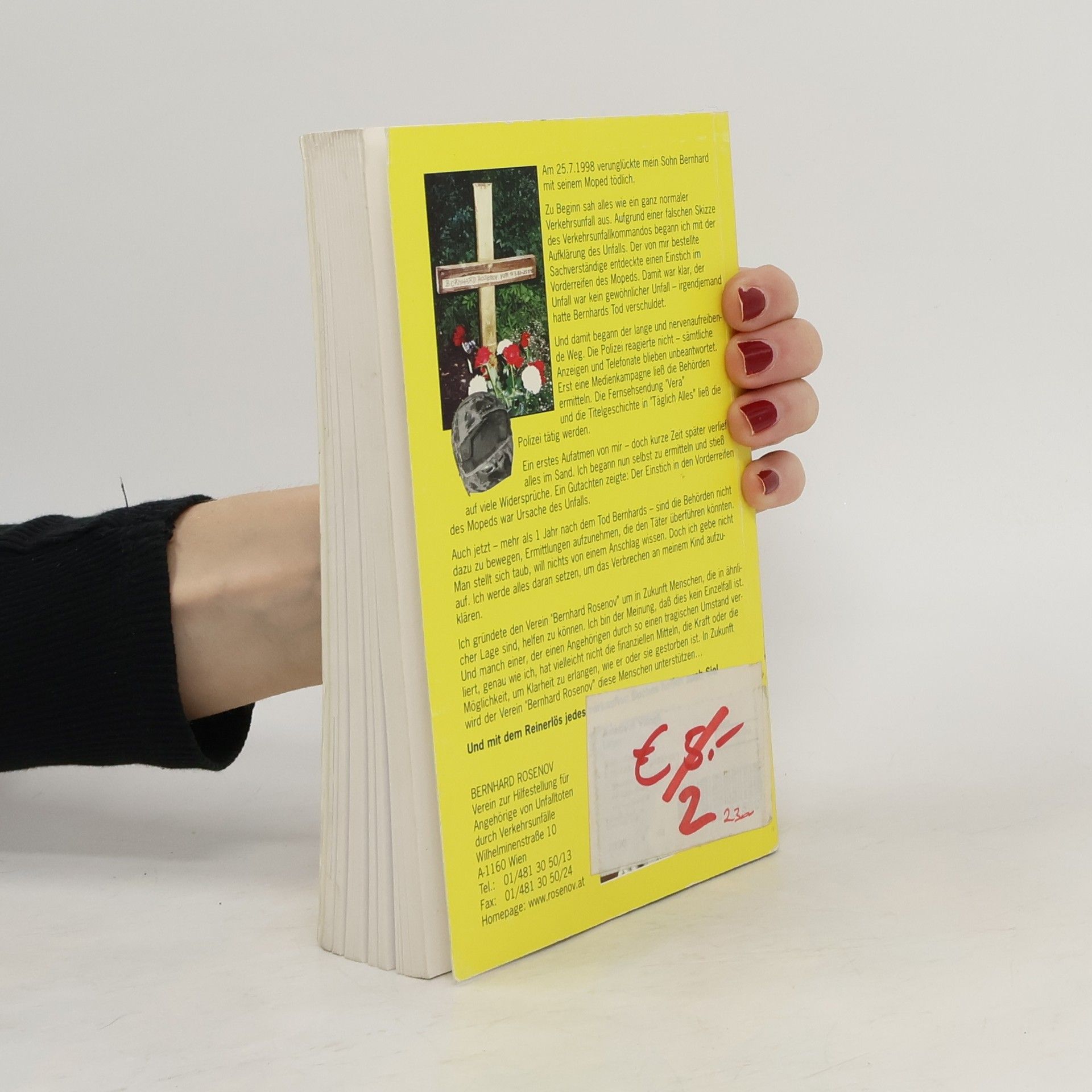 Autorenkollektiv Das Buch zum Skandal. Verkehrsunfall. Der perfekte Mord