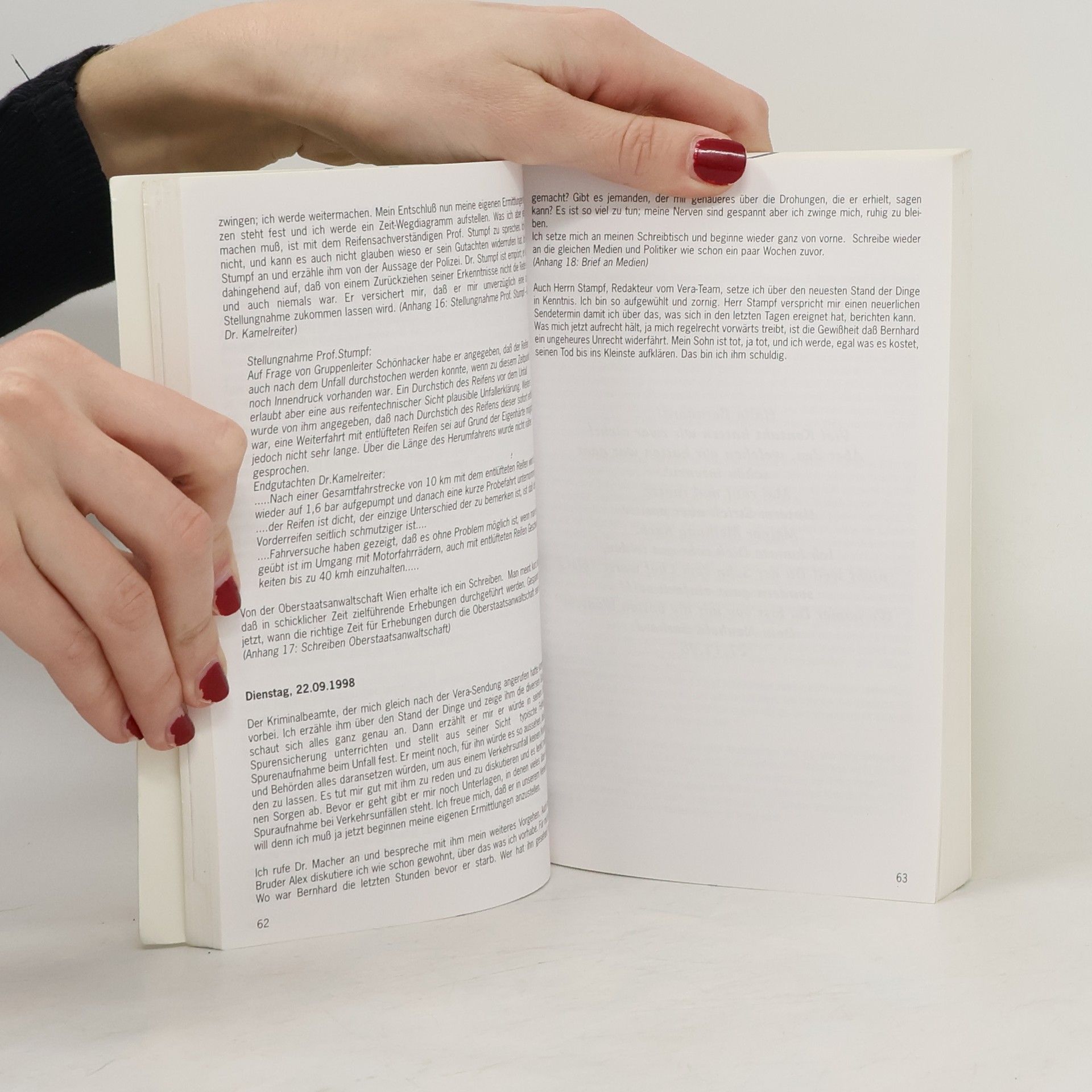Autorenkollektiv Das Buch zum Skandal. Verkehrsunfall. Der perfekte Mord