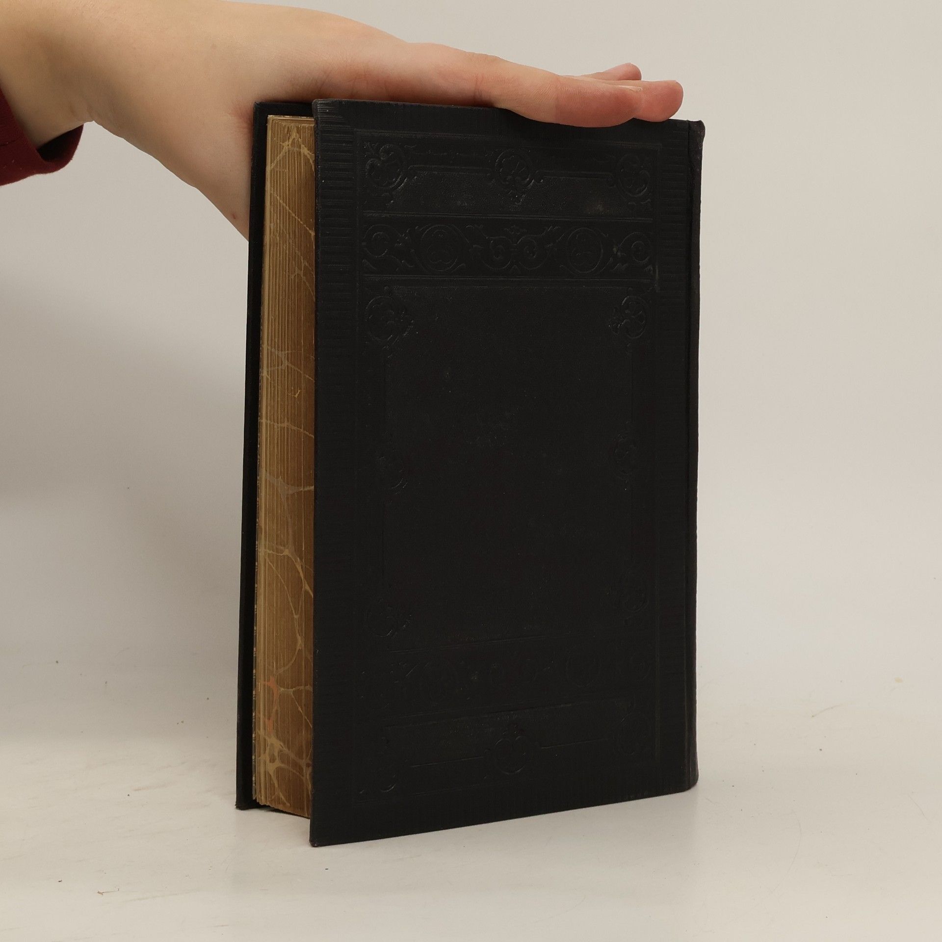 Autorenkollektiv Die Bibel. Heilige Schrift