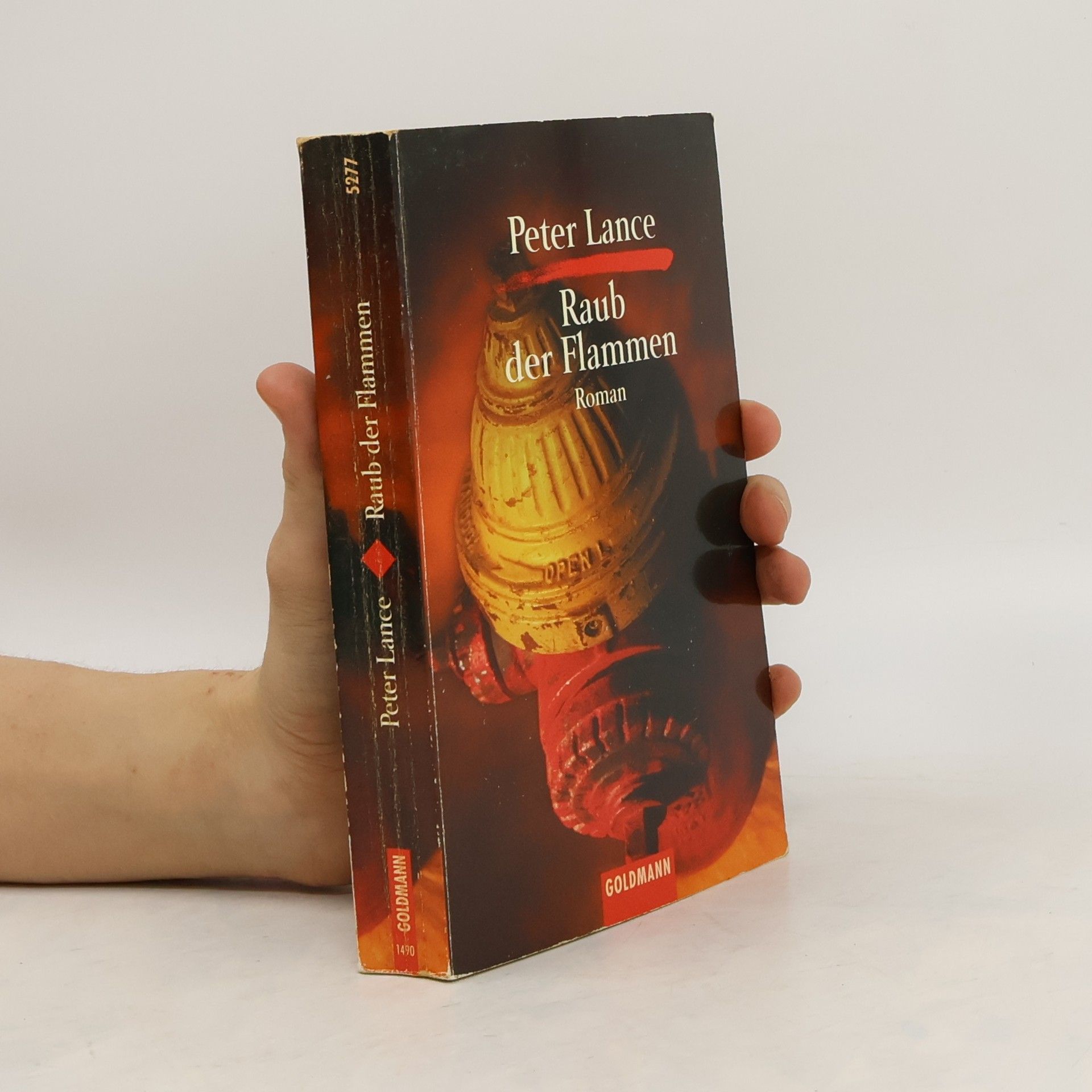 Peter Lancester Raub der Flammen
