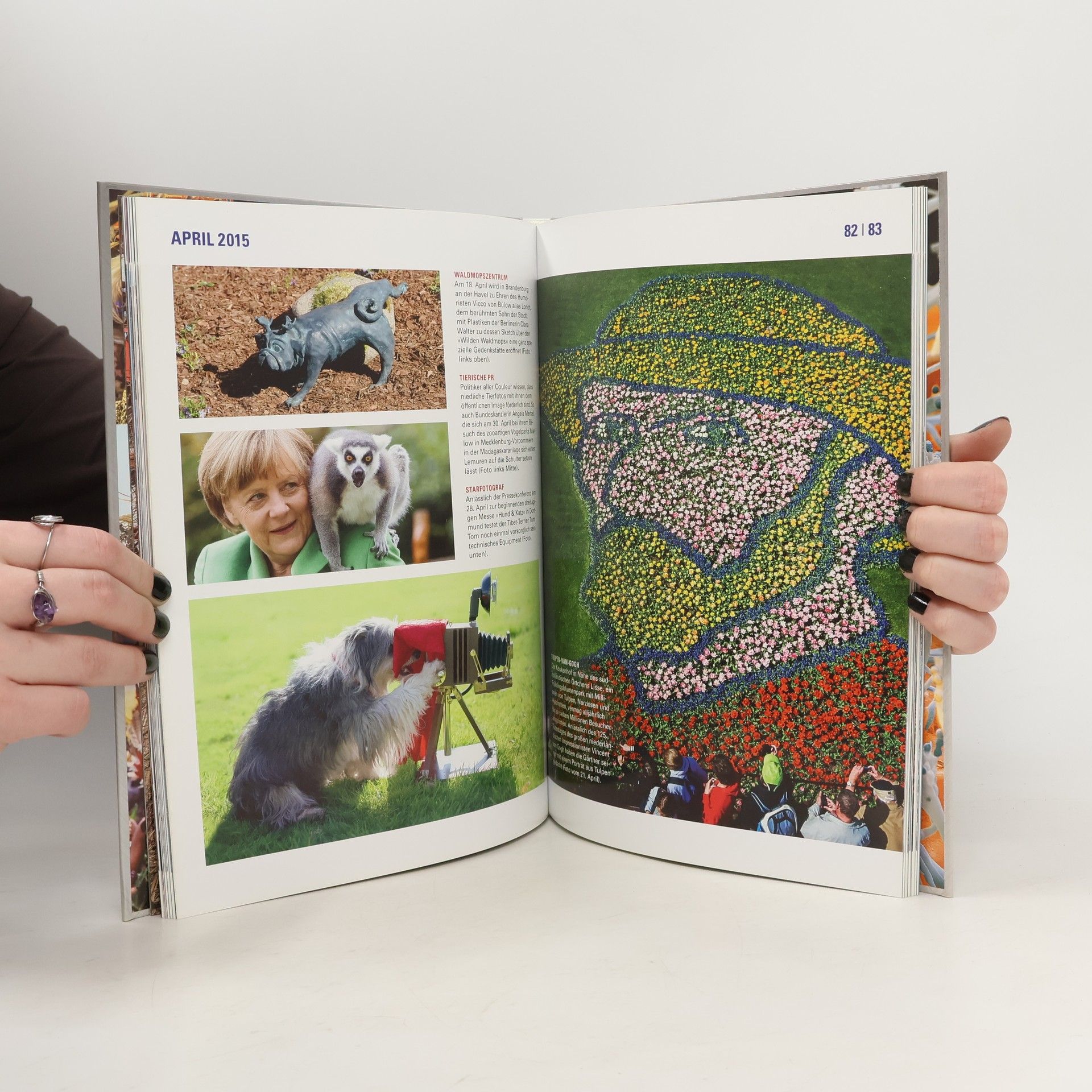 Various authors Das Jahr im Bild 2015