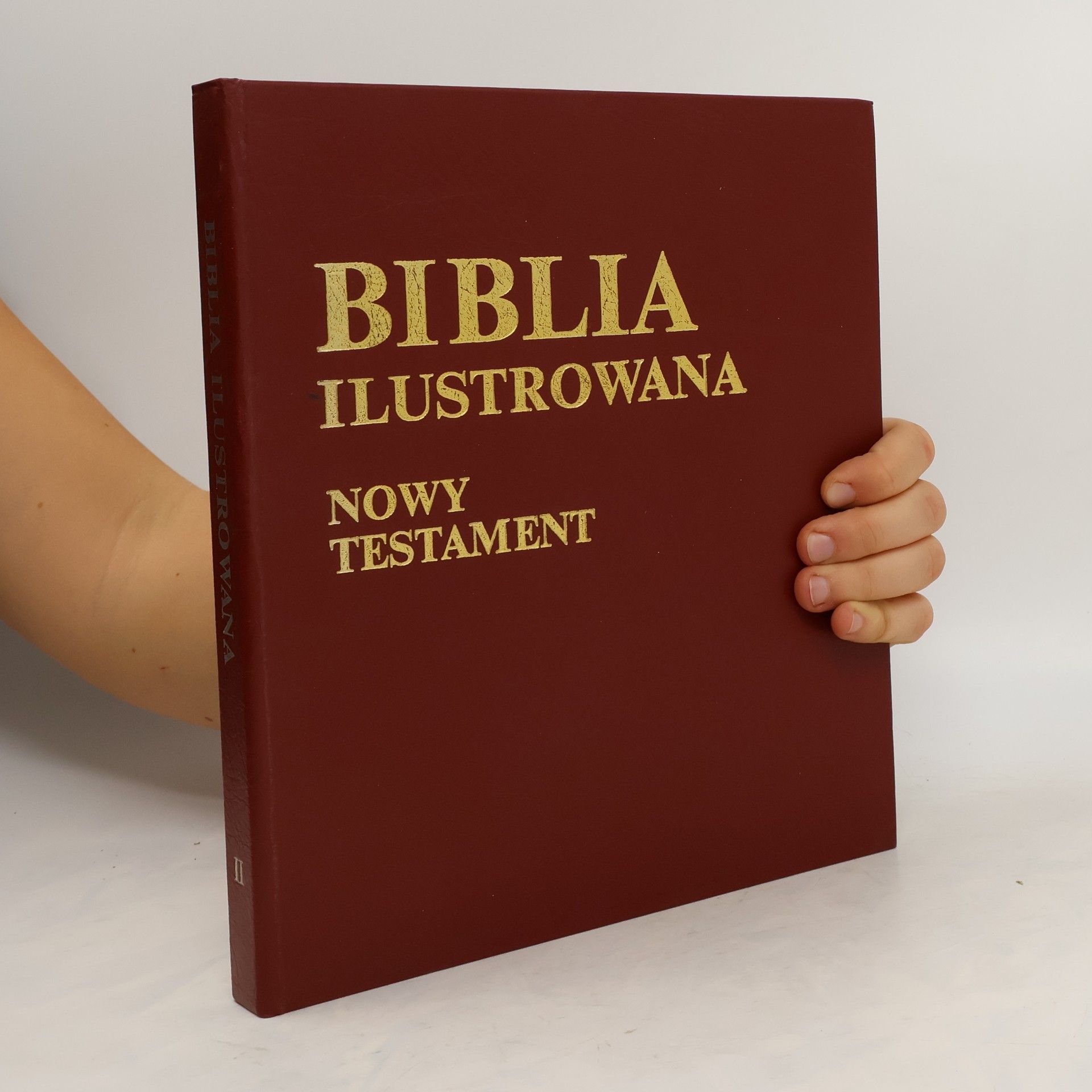 Autorenkollektiv Biblia ilustrowana. Nowy testament