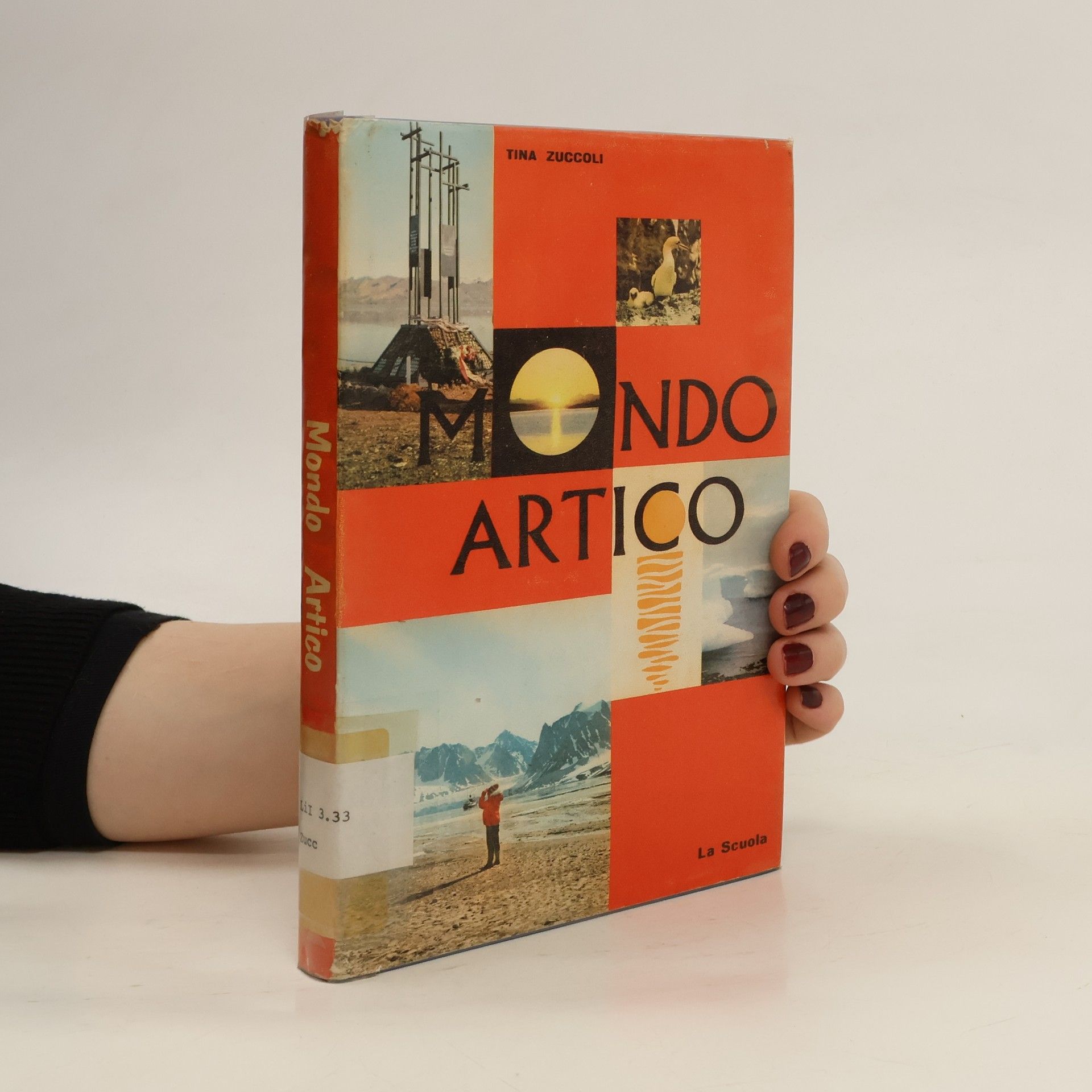 Tina Zuccoli Mondo artico
