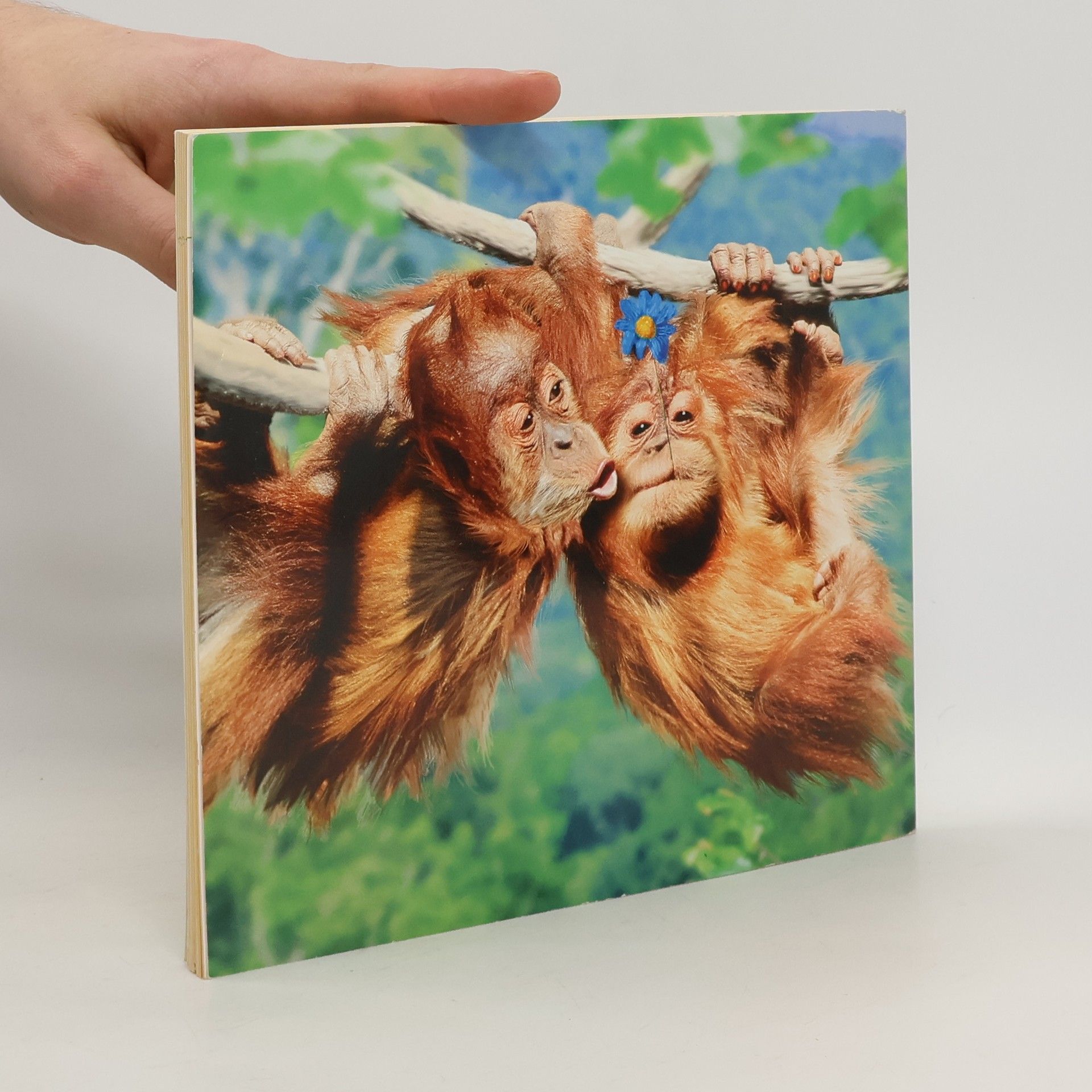 Autorenkollektiv Unvergessene Prominente der Tierwelt
