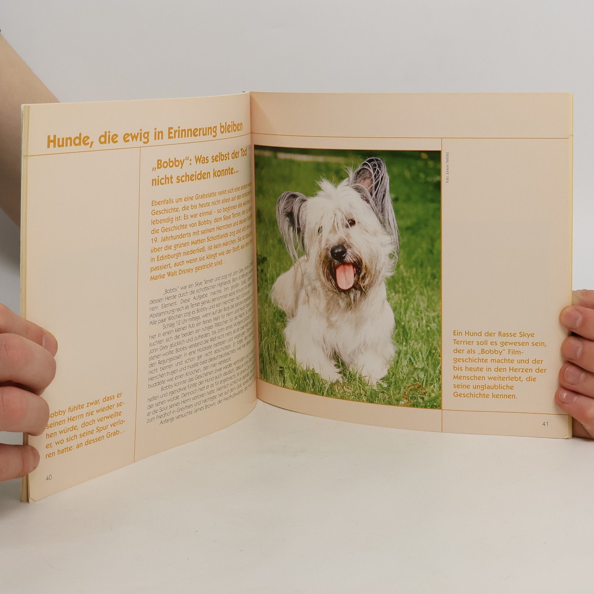 Autorenkollektiv Unvergessene Prominente der Tierwelt