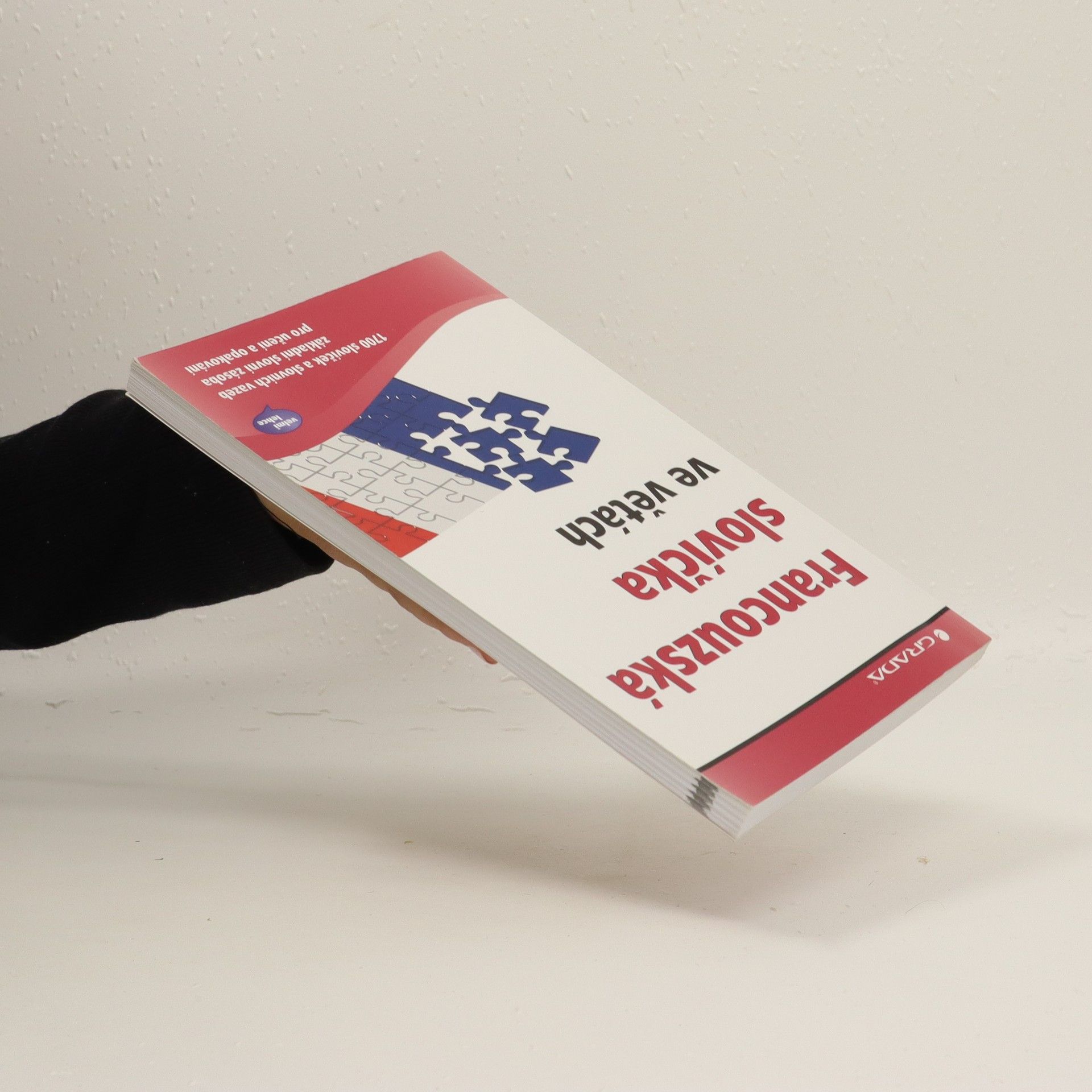 Kateřina Zajícová Francouzská slovíčka ve větách
