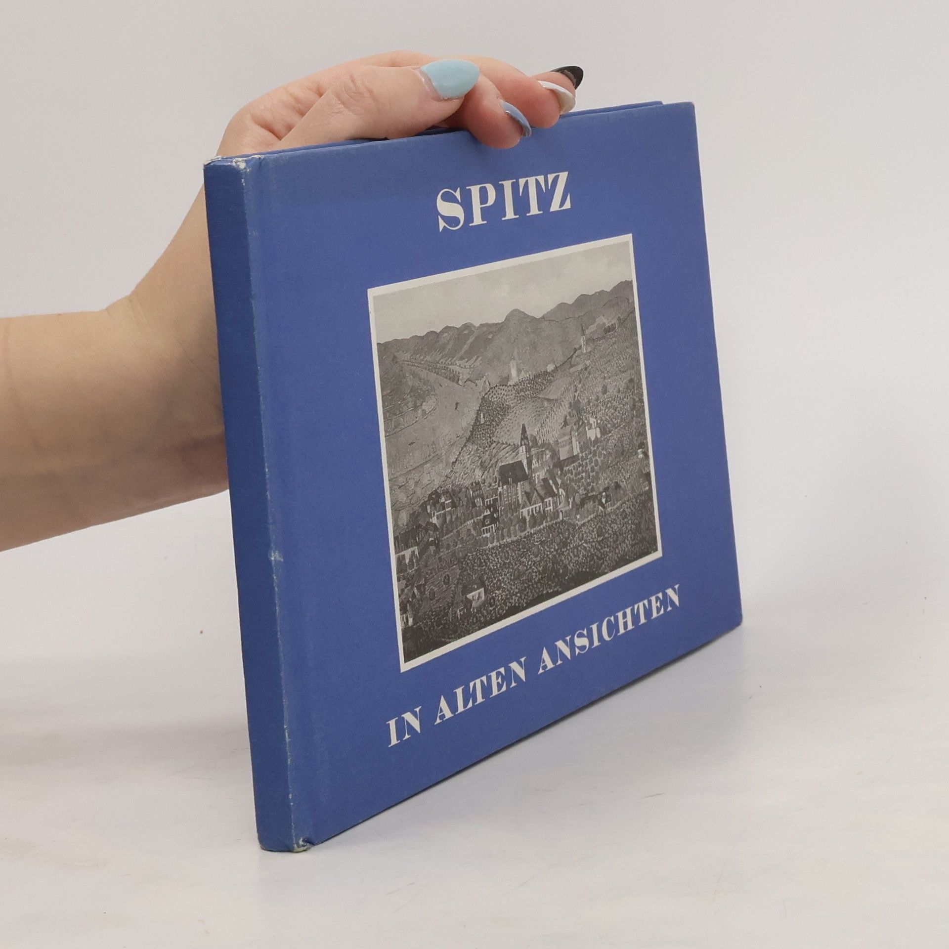 Autorenkollektiv Spitz. In alten Ansichten