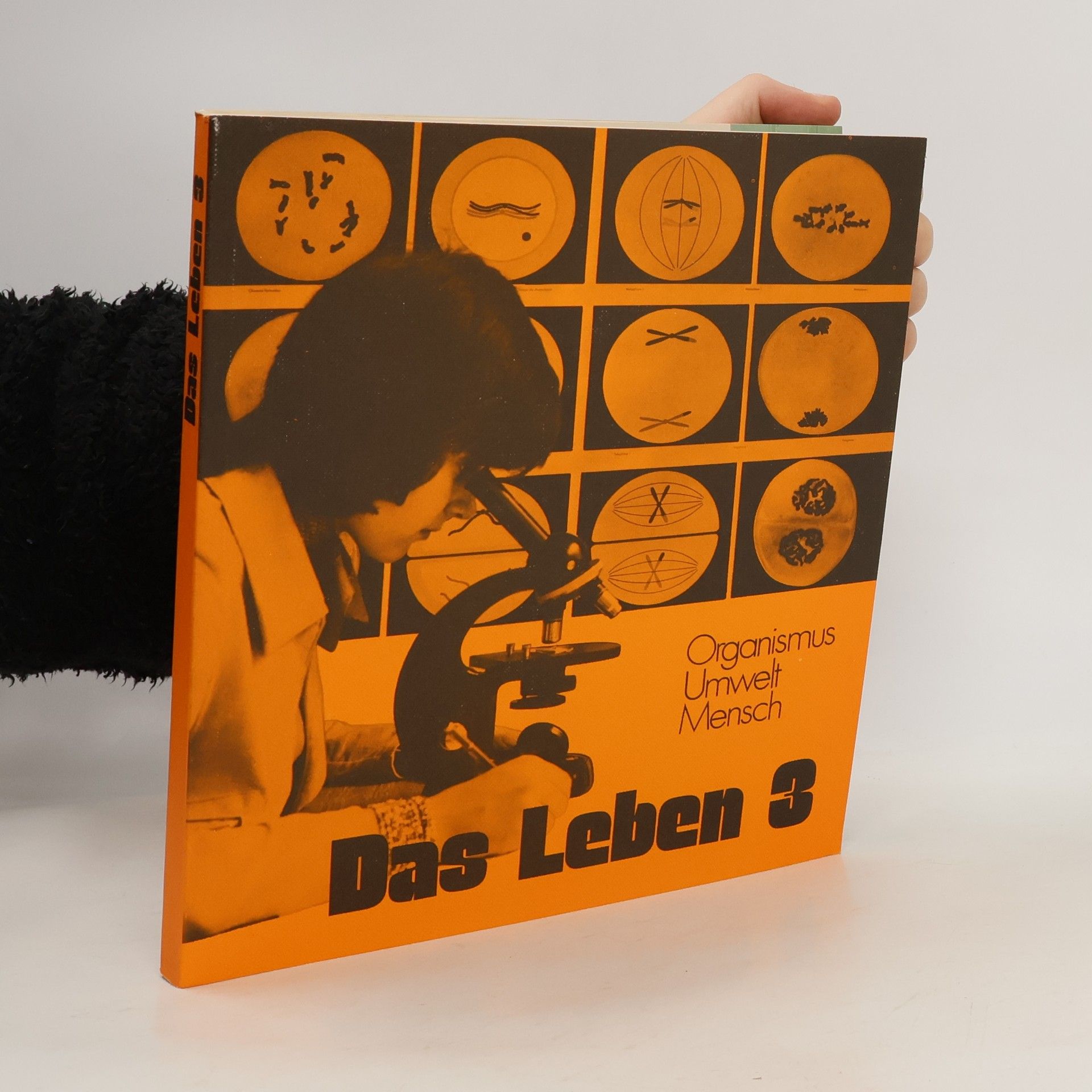 Collectif d'auteurs Das Leben 3