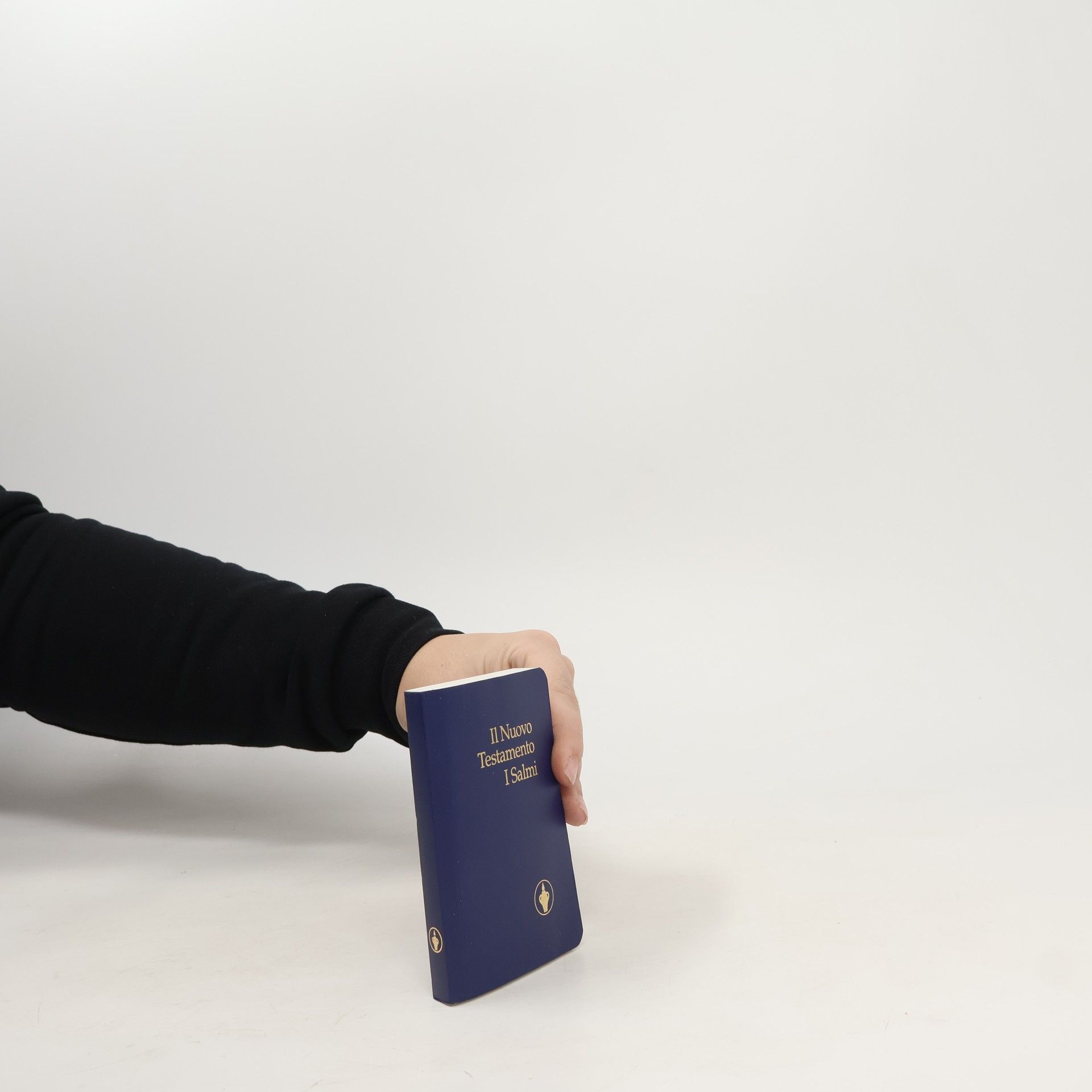 AA.VV. Il nuovo testamento. I salmi