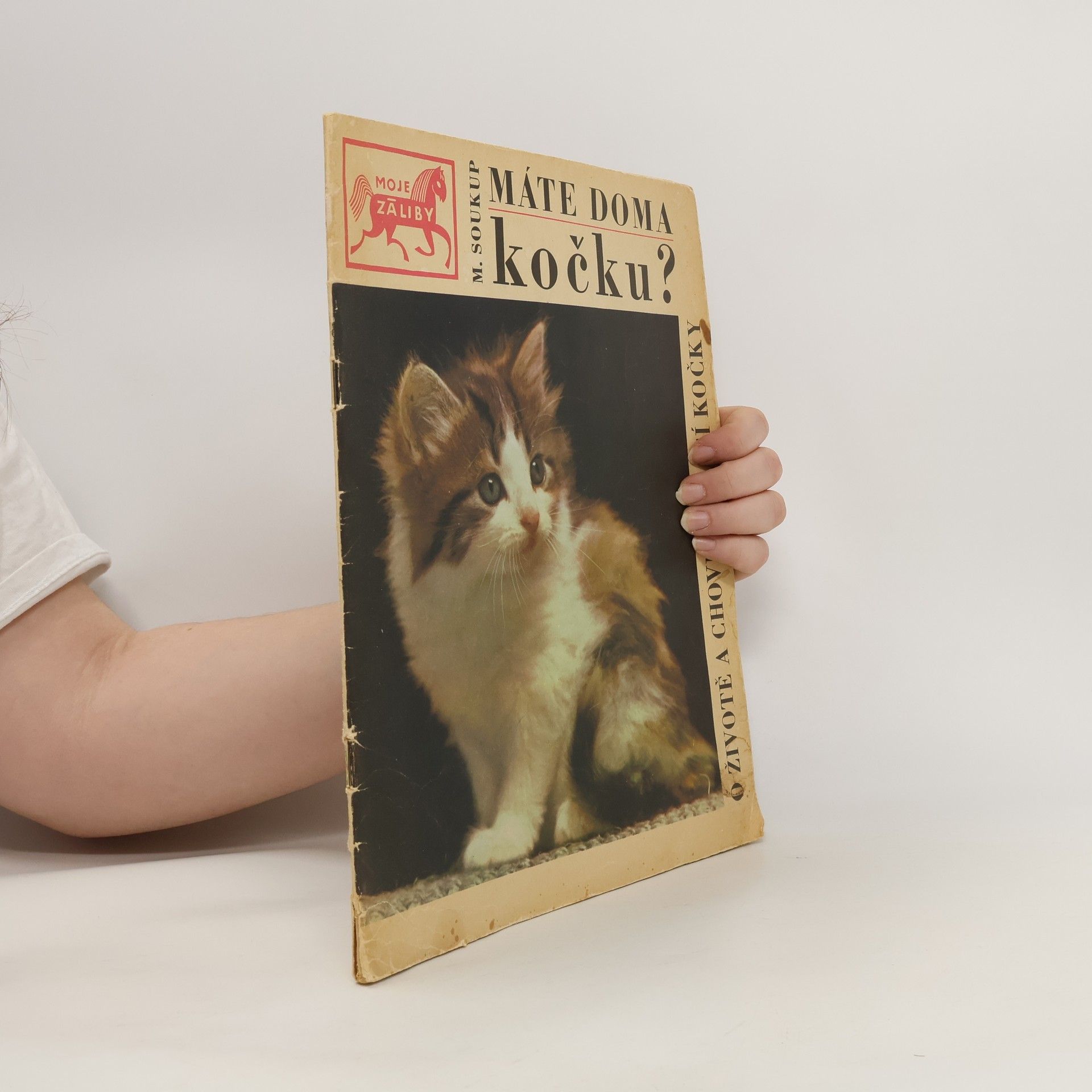 Autorenkollektiv Moje záliby. Máte doma kočku?
