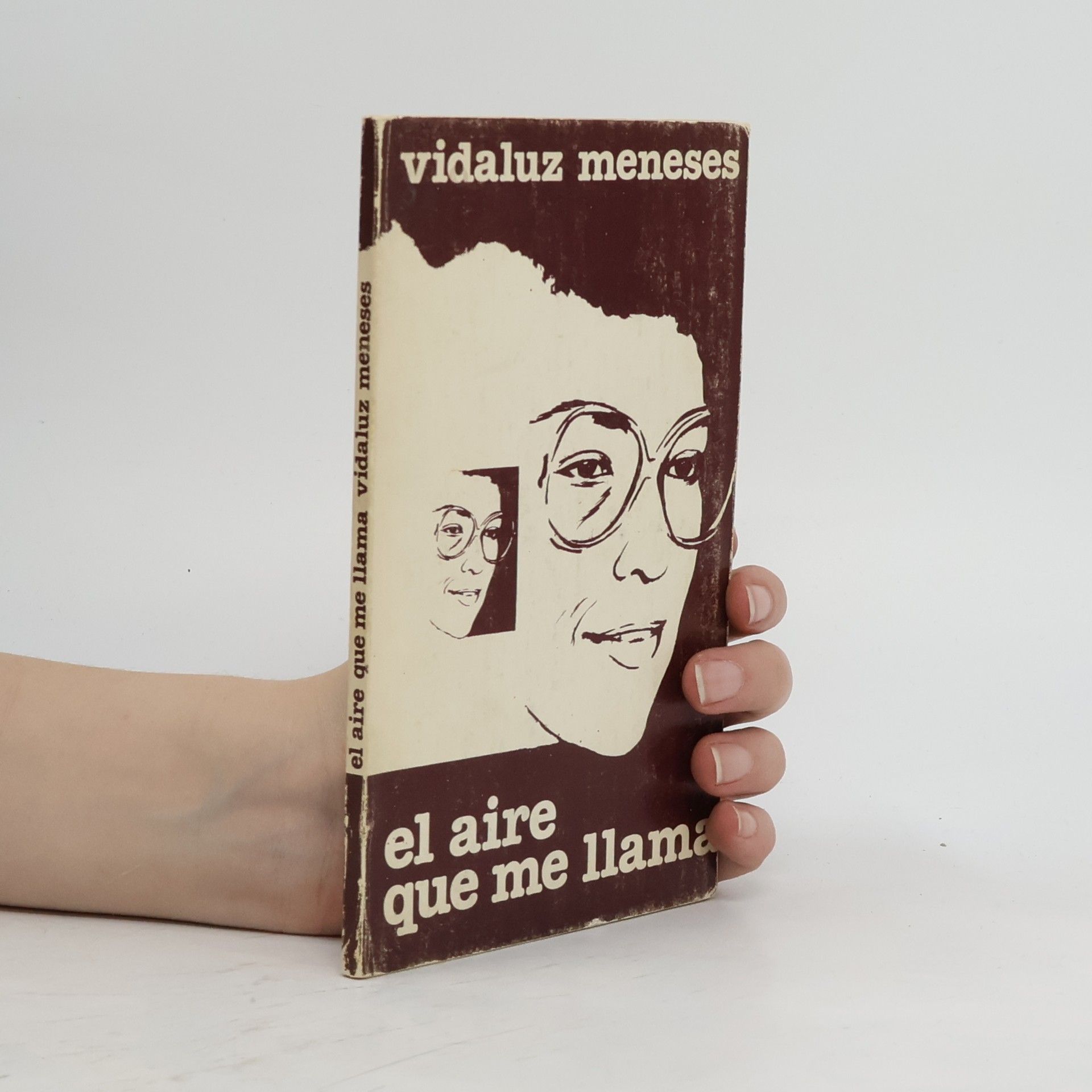 Vidaluz Meneses El aire que me llama