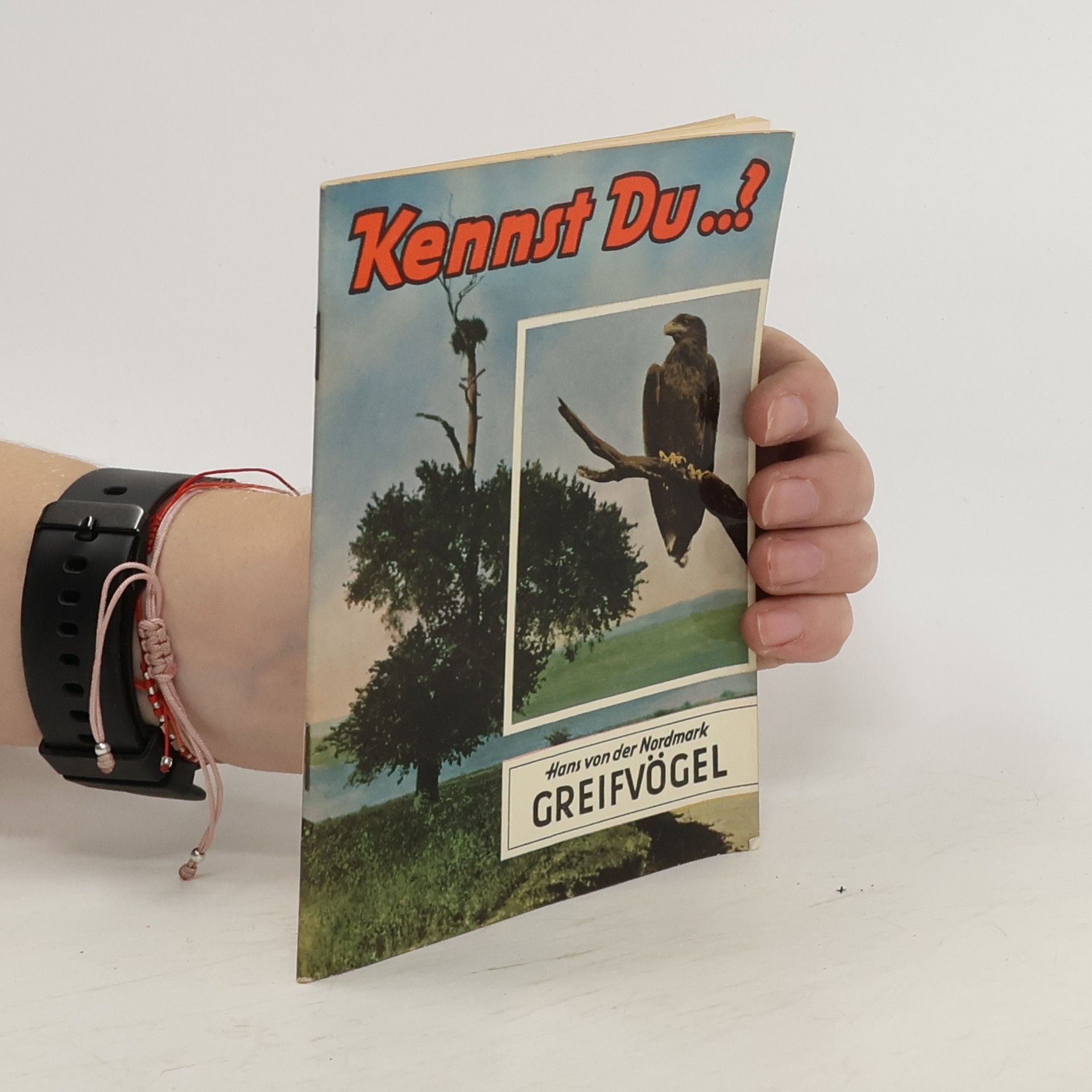 Autorenkollektiv Kennst Du?